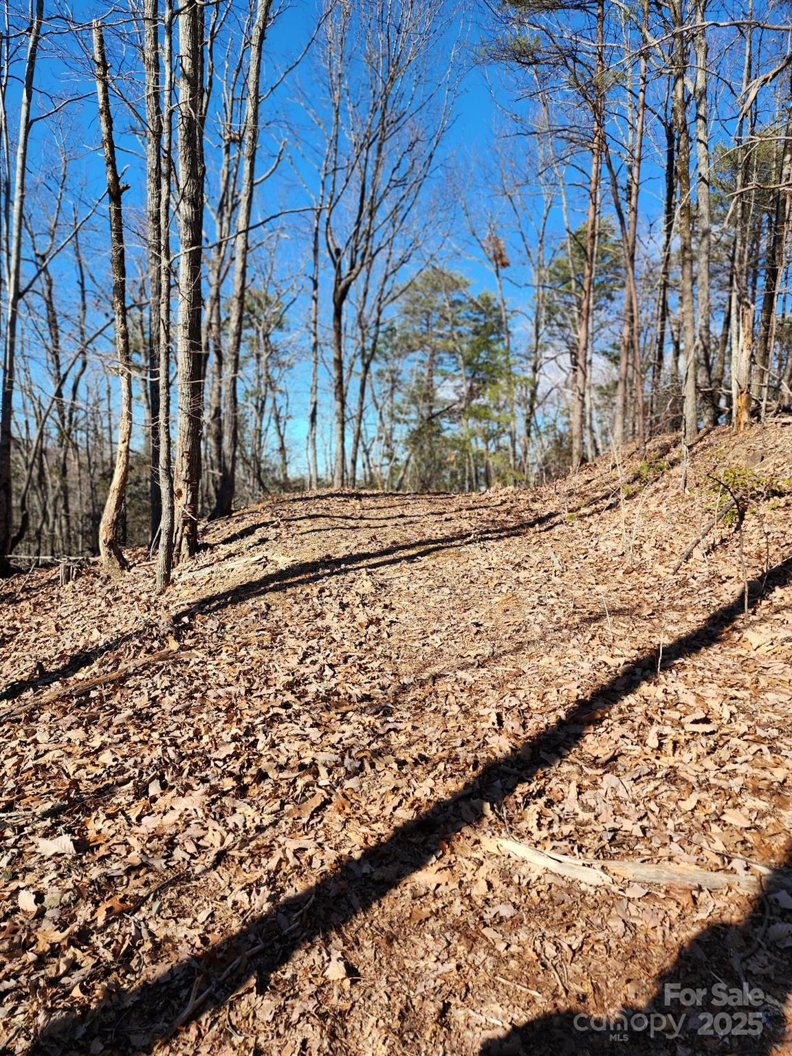 Golden Valley Estates - Land