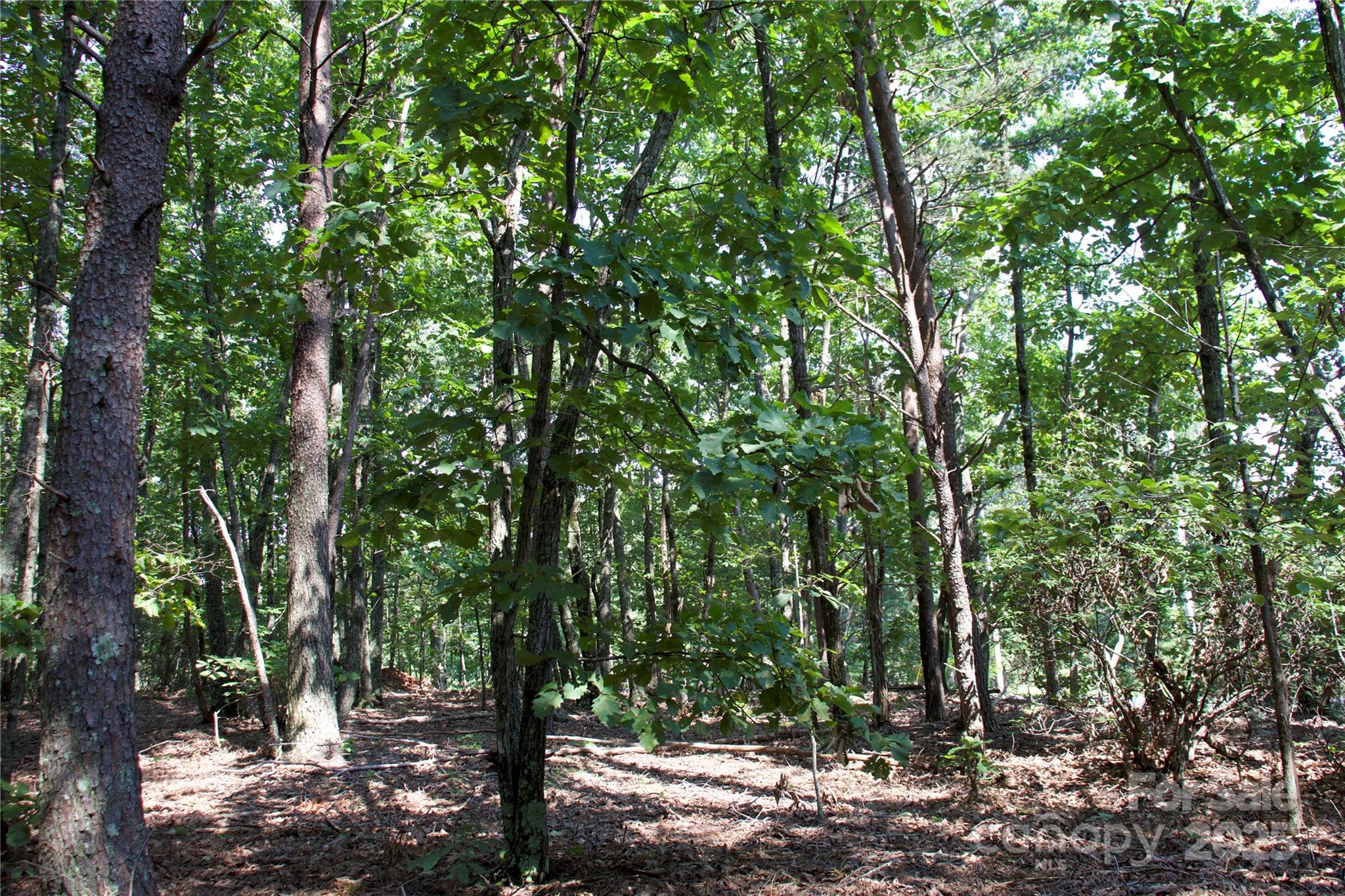 Golden Valley Estates - Land