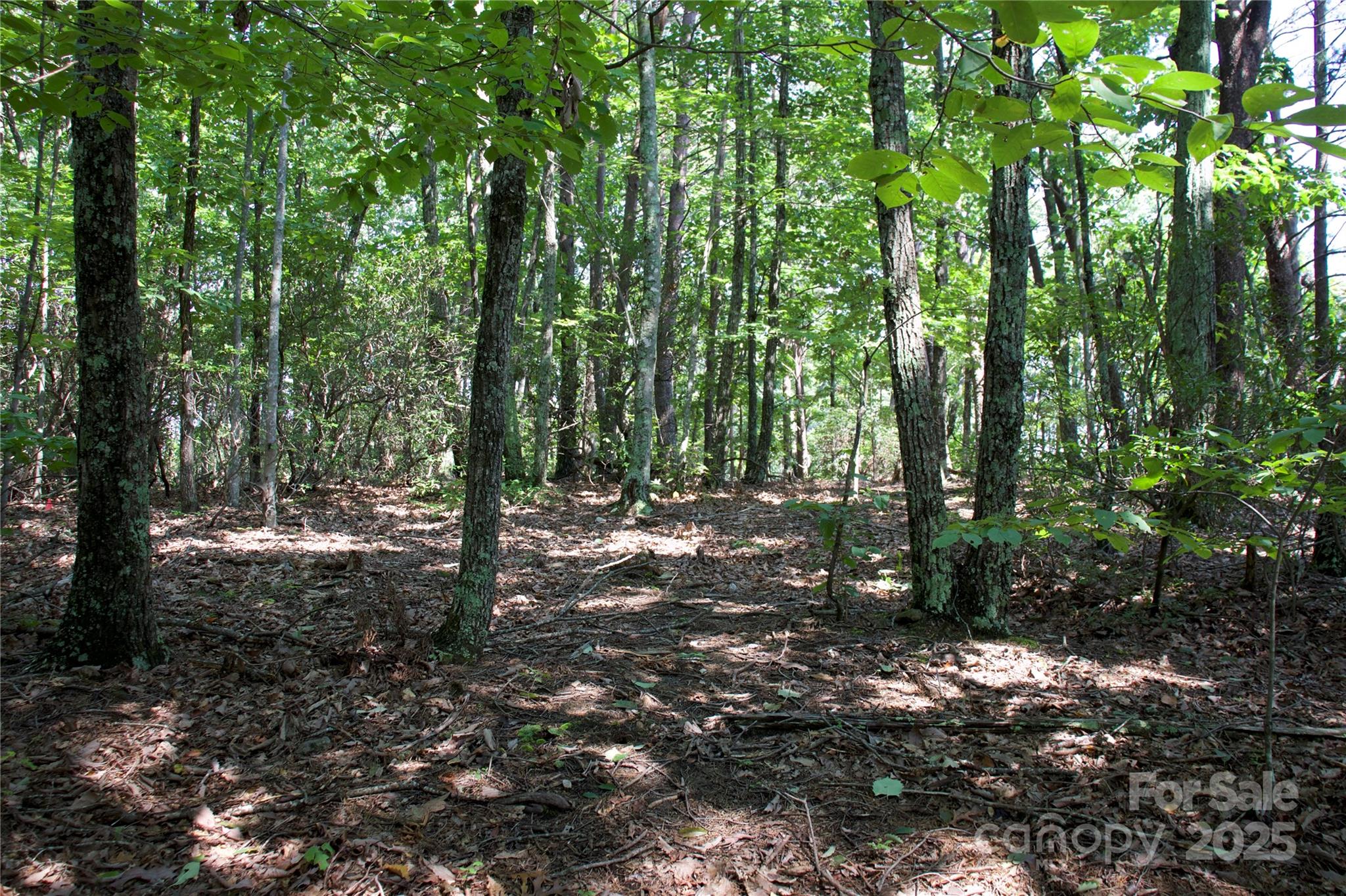 Golden Valley Estates - Land