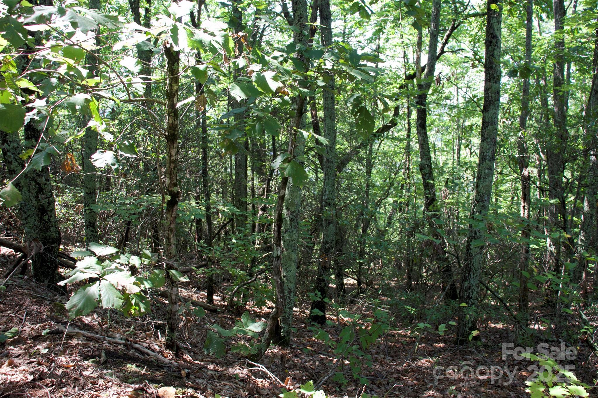 Golden Valley Estates - Land