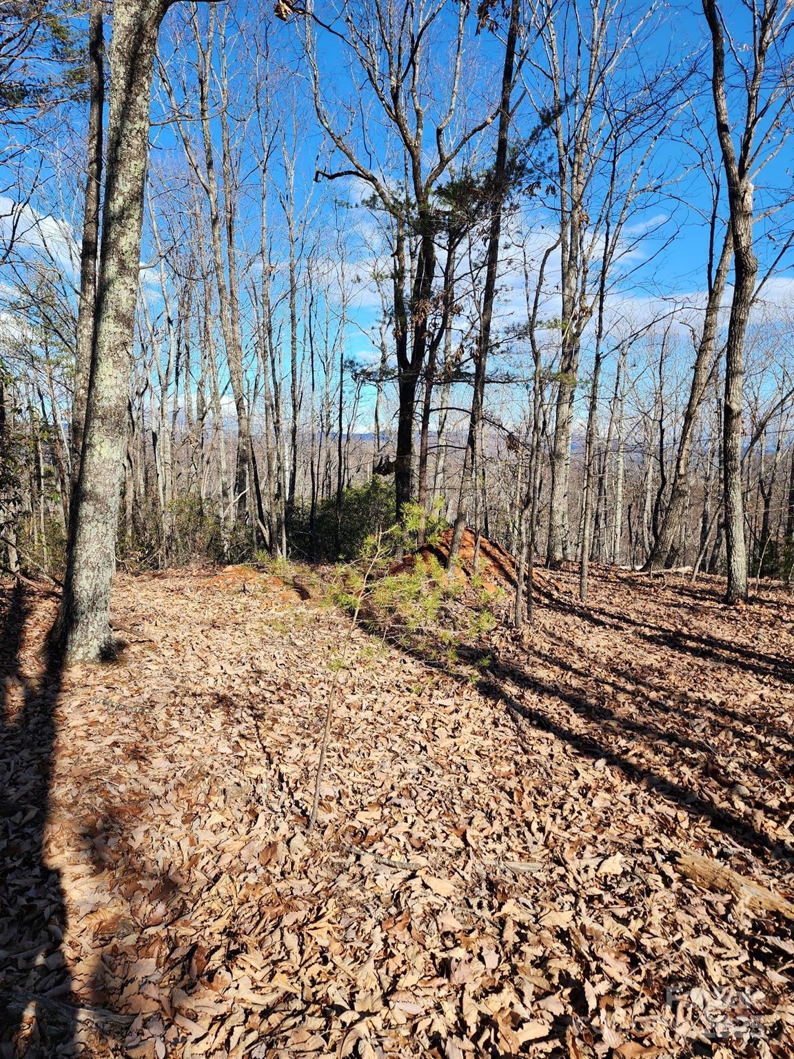 Golden Valley Estates - Land