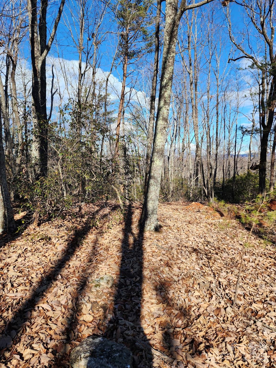 Golden Valley Estates - Land