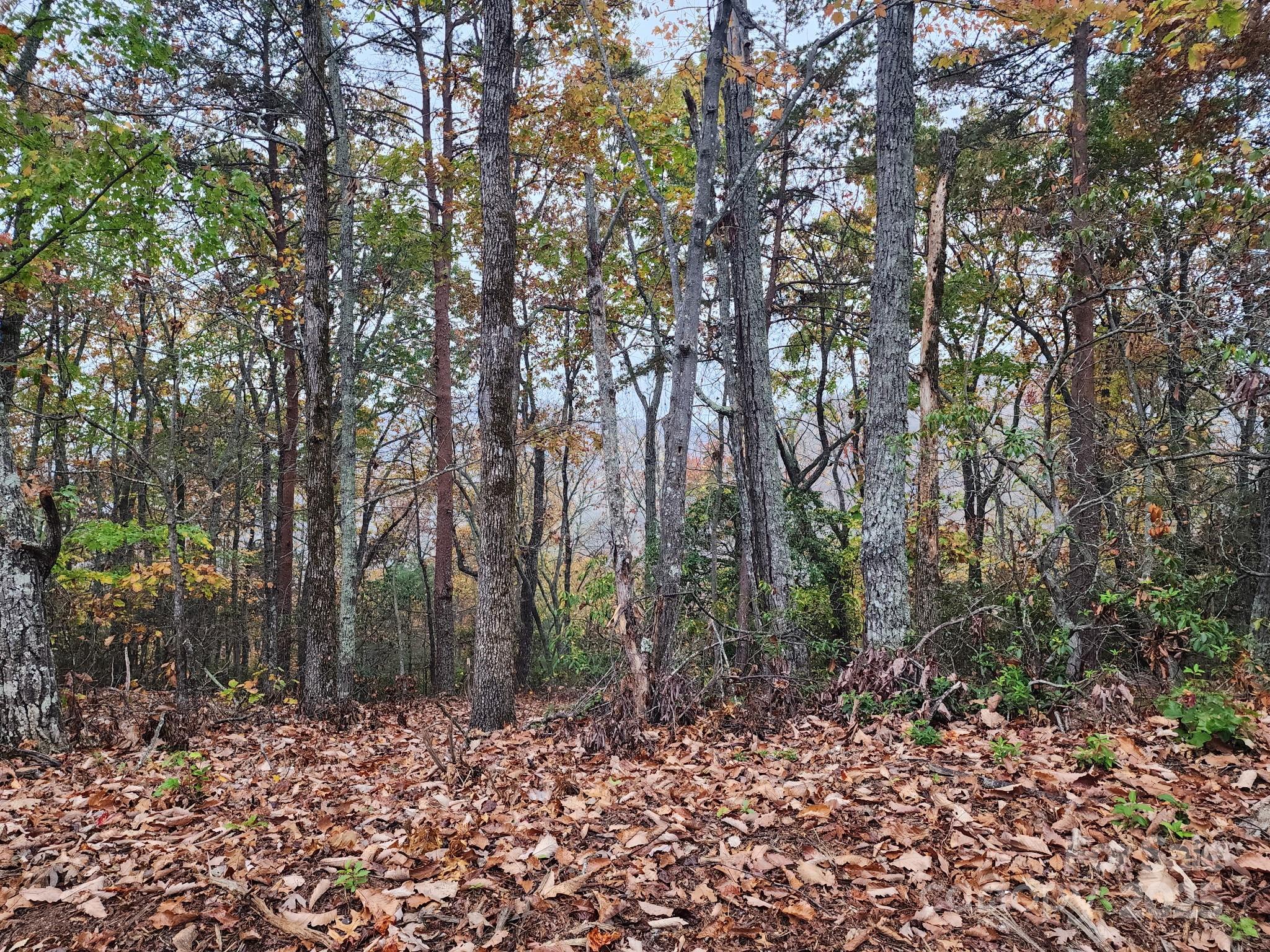 0 Mountain Lookout Drive 35