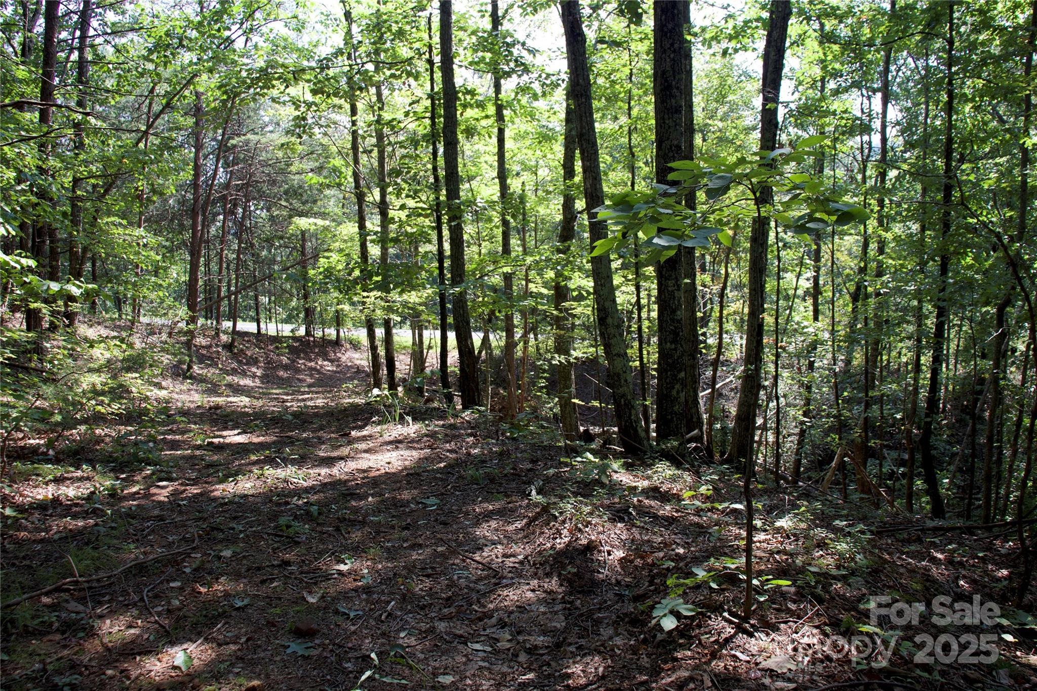 Golden Valley Estates - Land