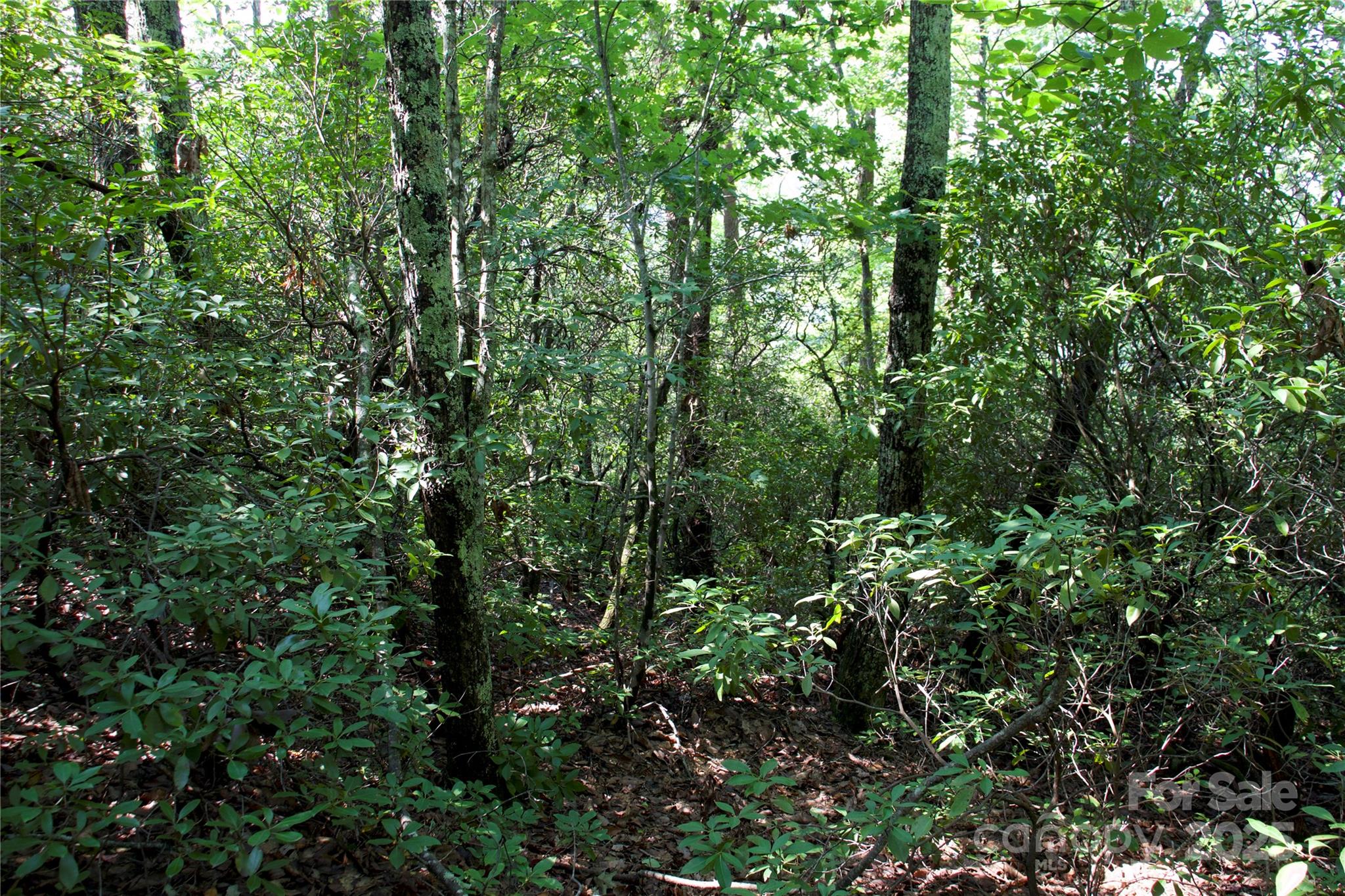 Golden Valley Estates - Land