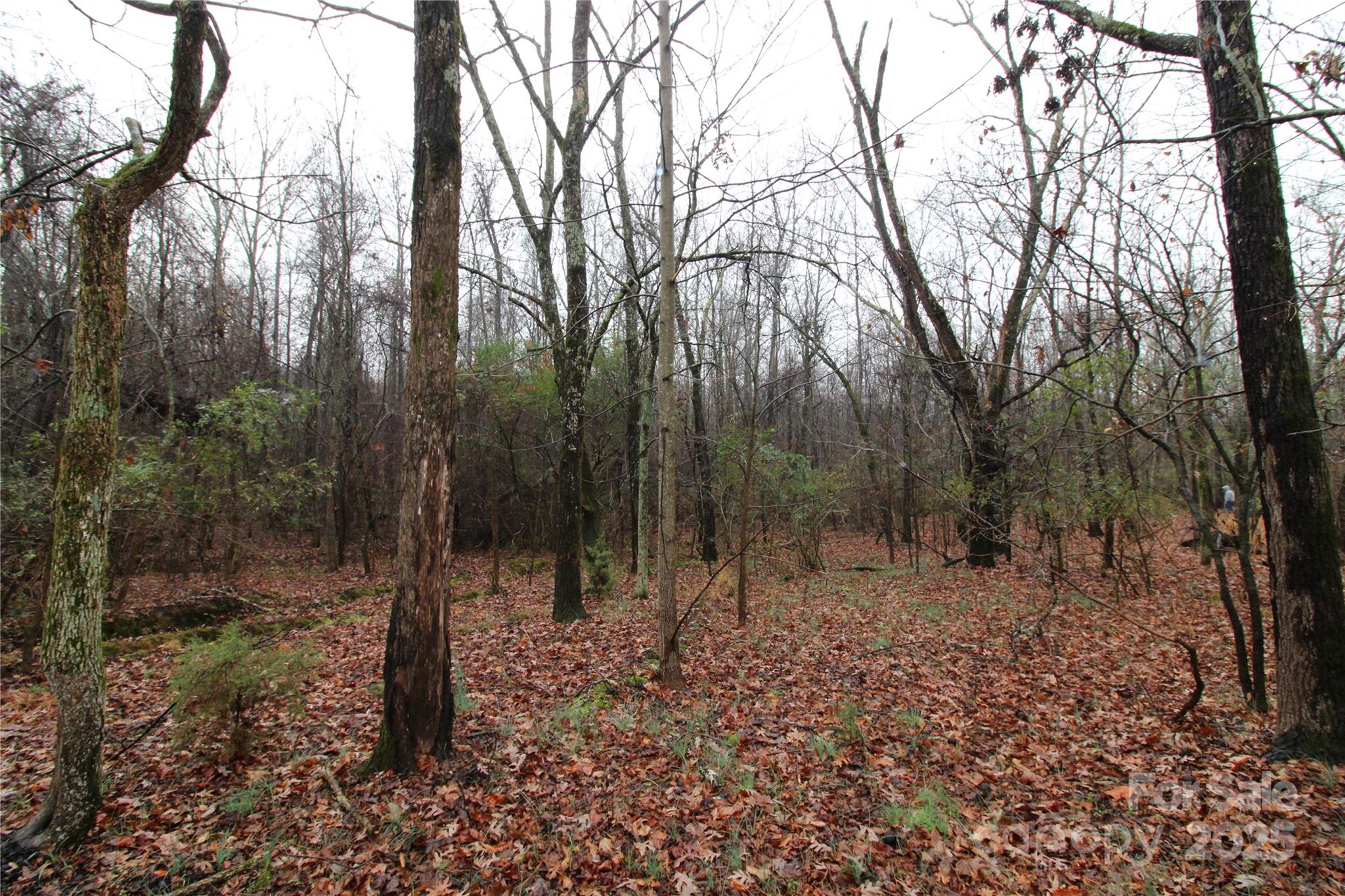 3+/-AC LOT 7 Eaker Road