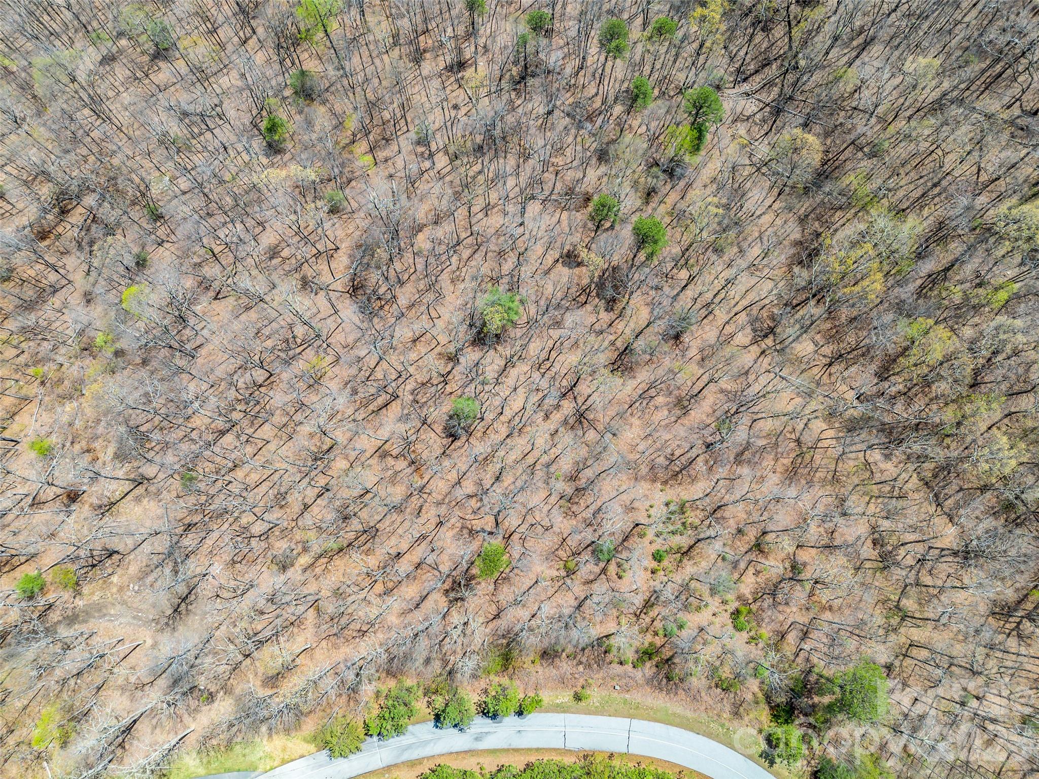 Brights Creek - Land