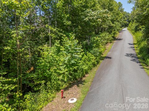 0 Labras Drive 55 Union Mills NC 28167