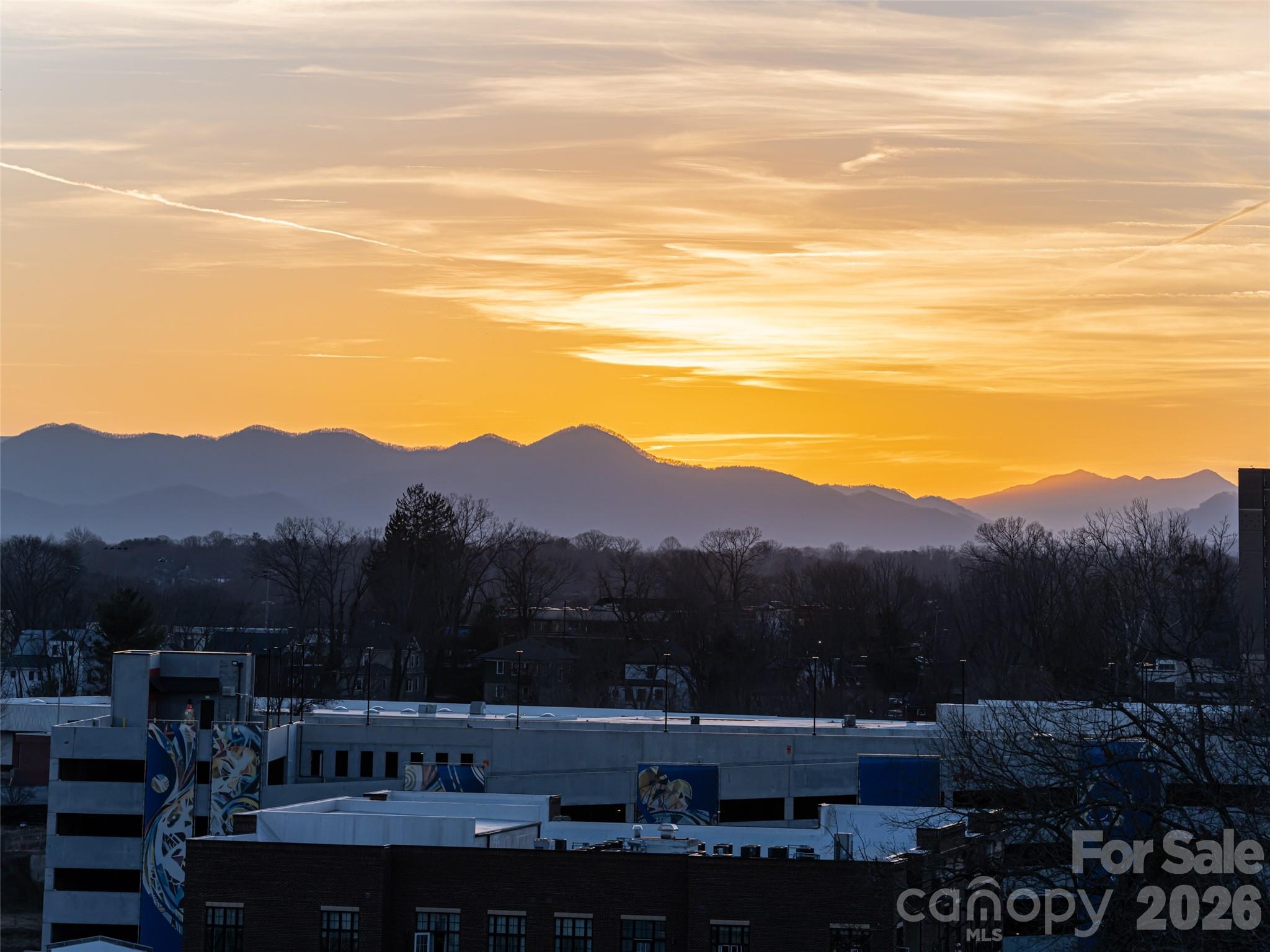 145 Biltmore Avenue Condominiums - Residential