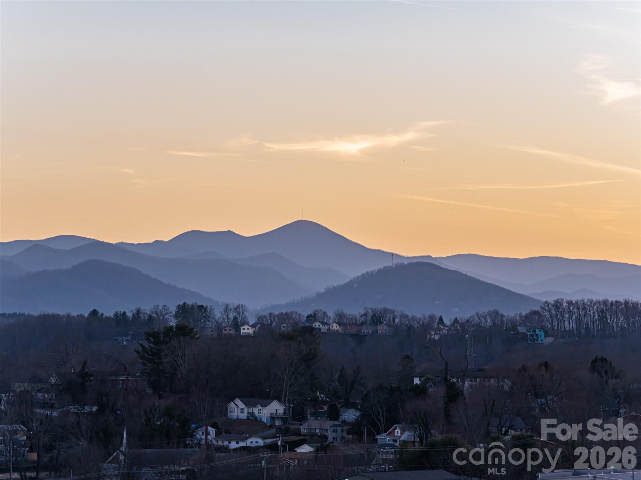 145 Biltmore Avenue Condominiums - Residential