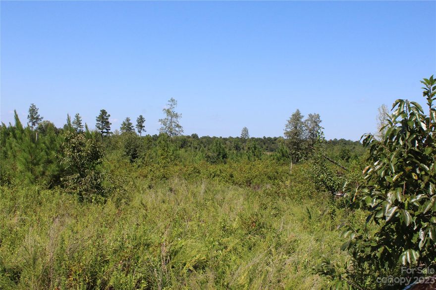 This tract of land sits up nice and high and has spectacular views of the surrounding area. 18+/- Acres located in the sought-after area of Chester County and surrounded by like-in-kind large parcels of land. Land could be turned into pasture or left as a natural wildlife habitat. Several build sites to choose from on the property. More acreage available. Easy drive to I-77, Chester and Rock Hill amenities! Minimal Restrictions. NO HOA!