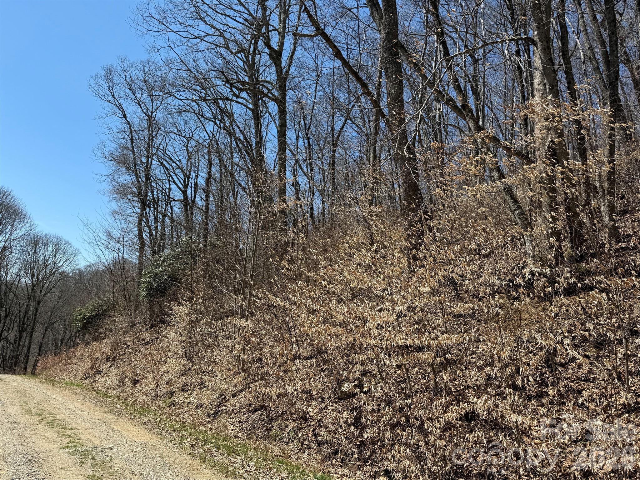 Photo 1 of 23 — 000 Granny Shepherd Road lot 4, Mars Hill, NC 28754