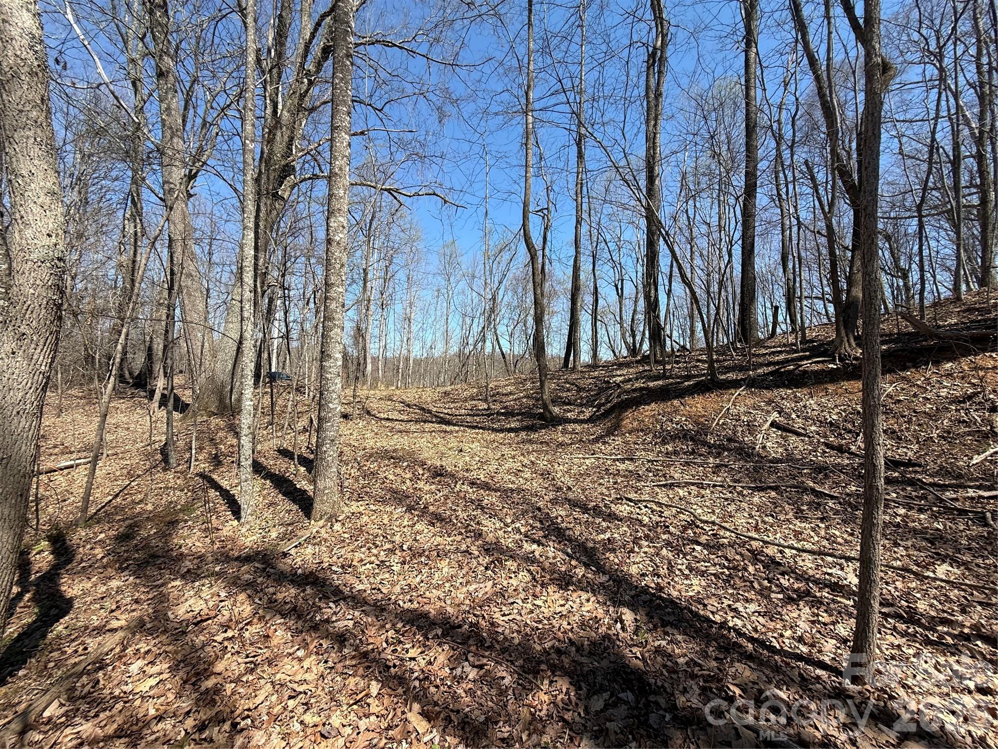 000 Granny Shepherd Road lot 4
