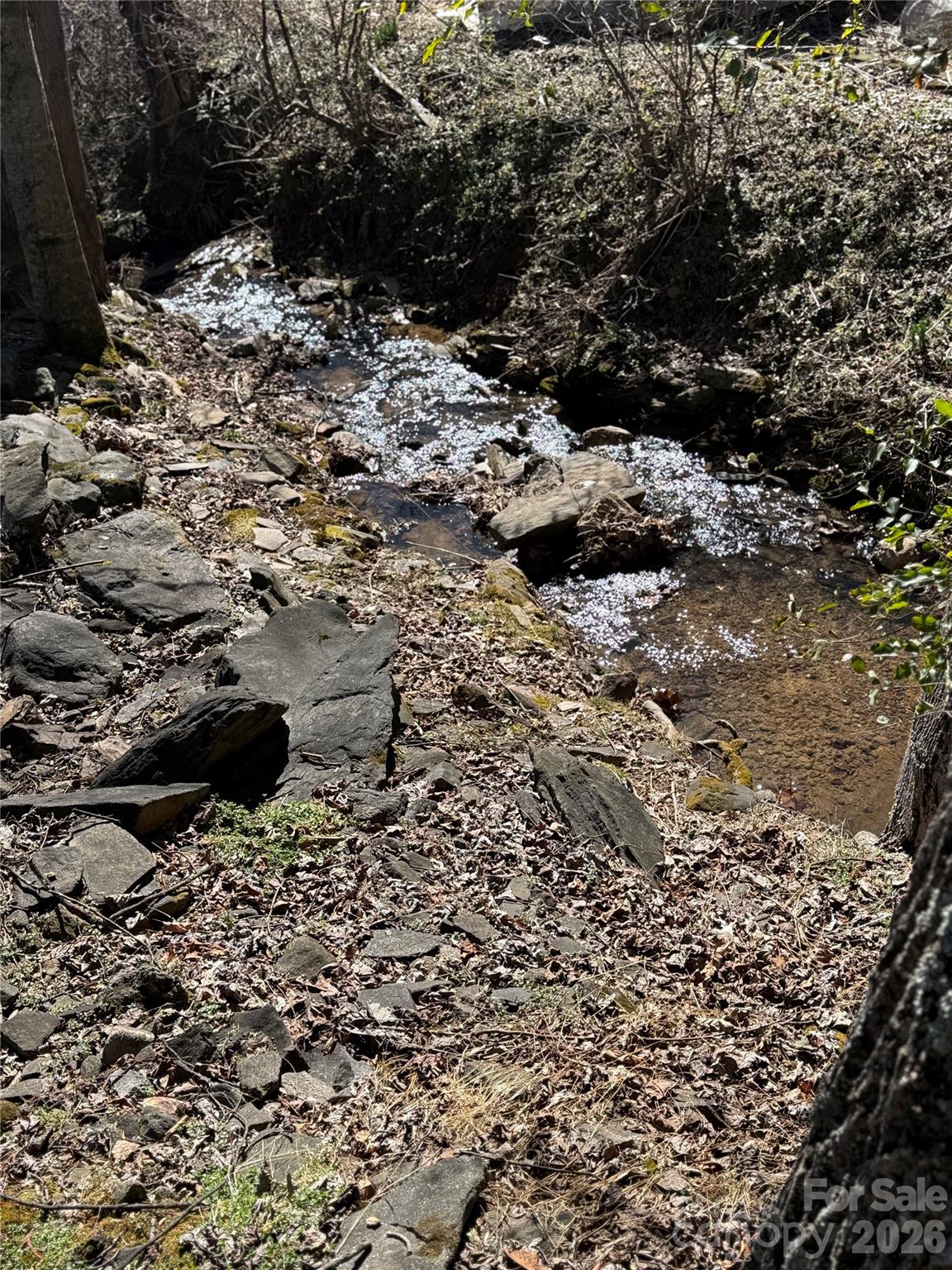 Fox Run Meadow - Residential