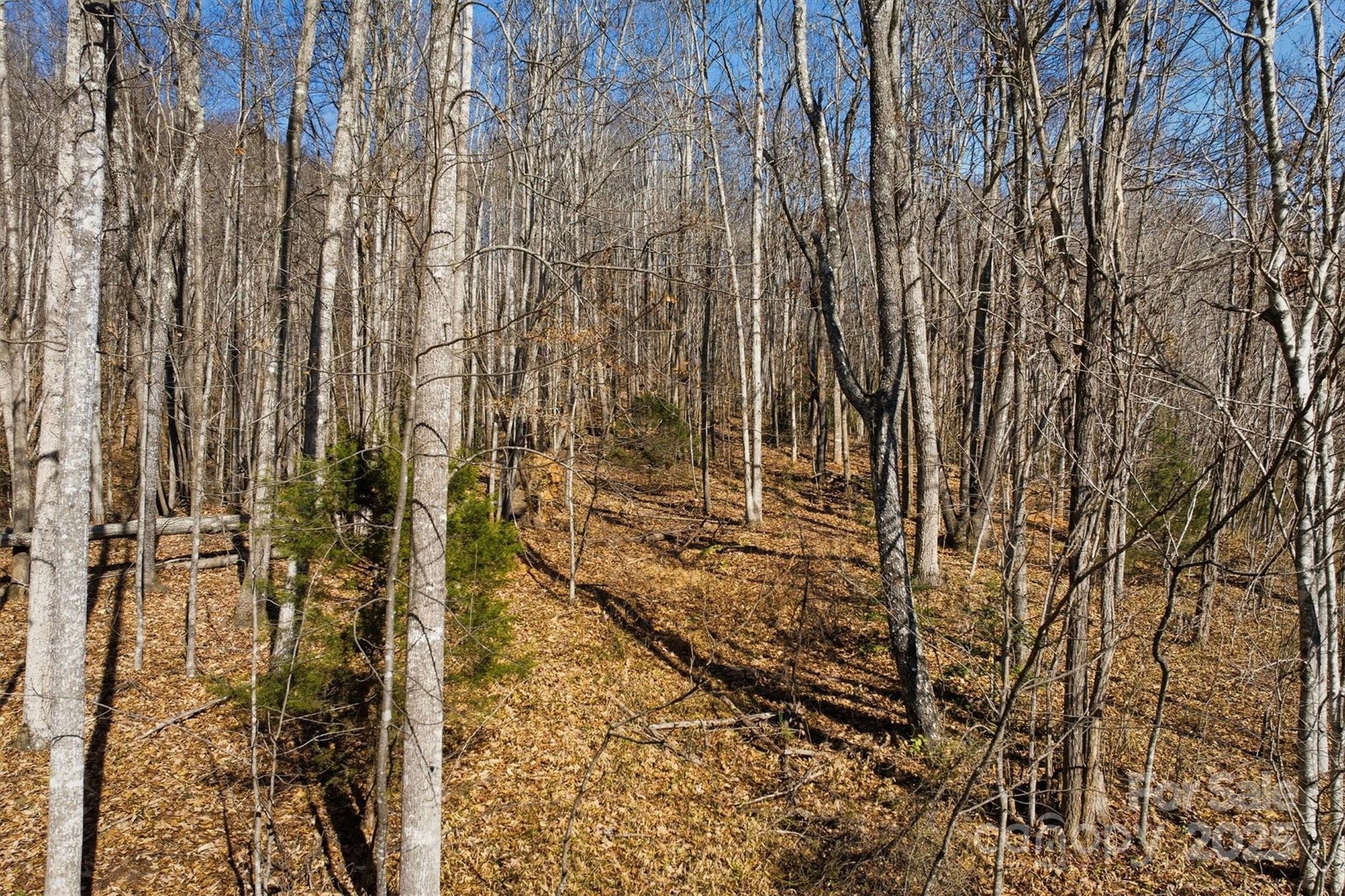 The Coves Mountain River Club - Land