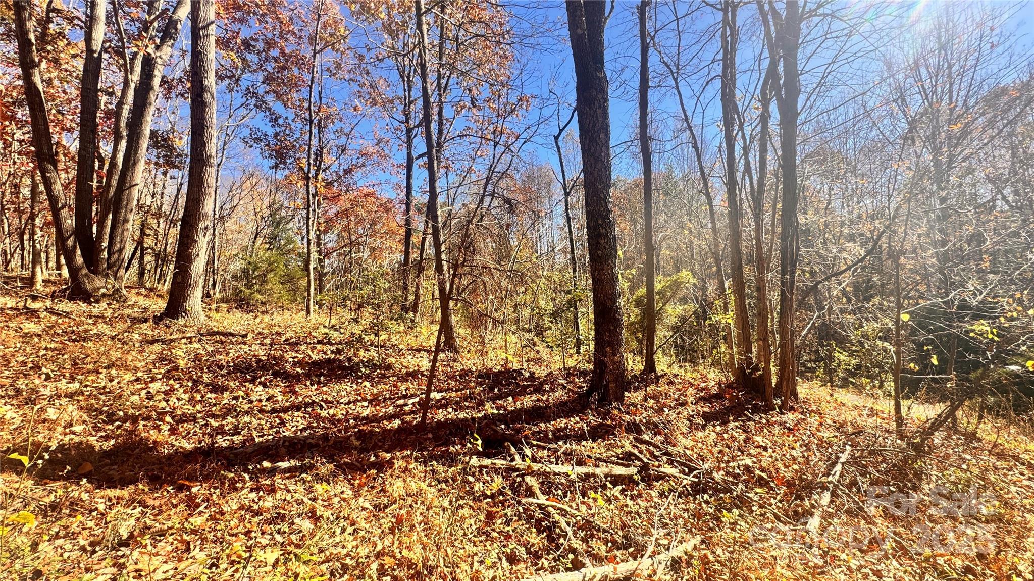 The Coves Mountain River Club - Land