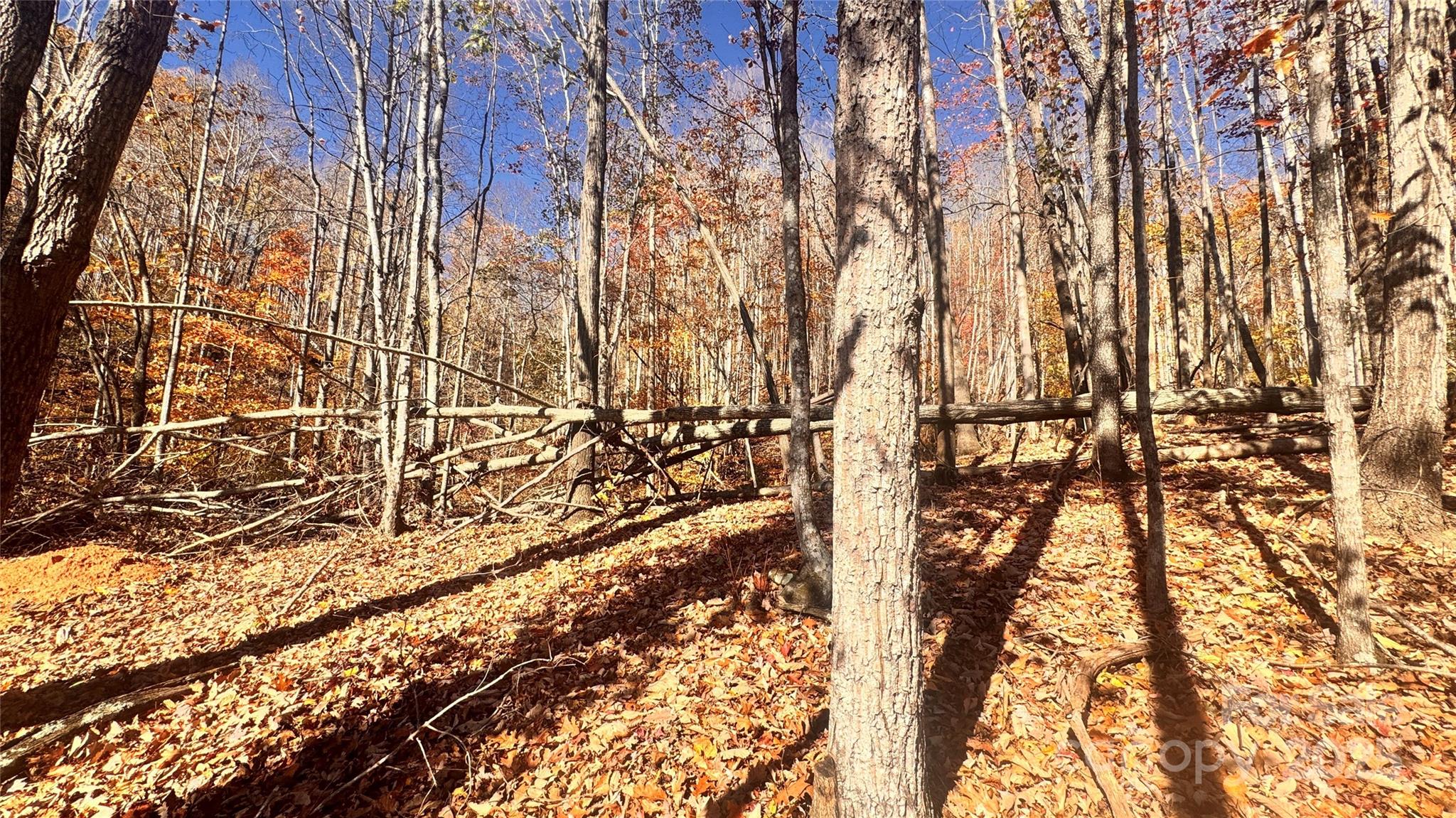 The Coves Mountain River Club - Land