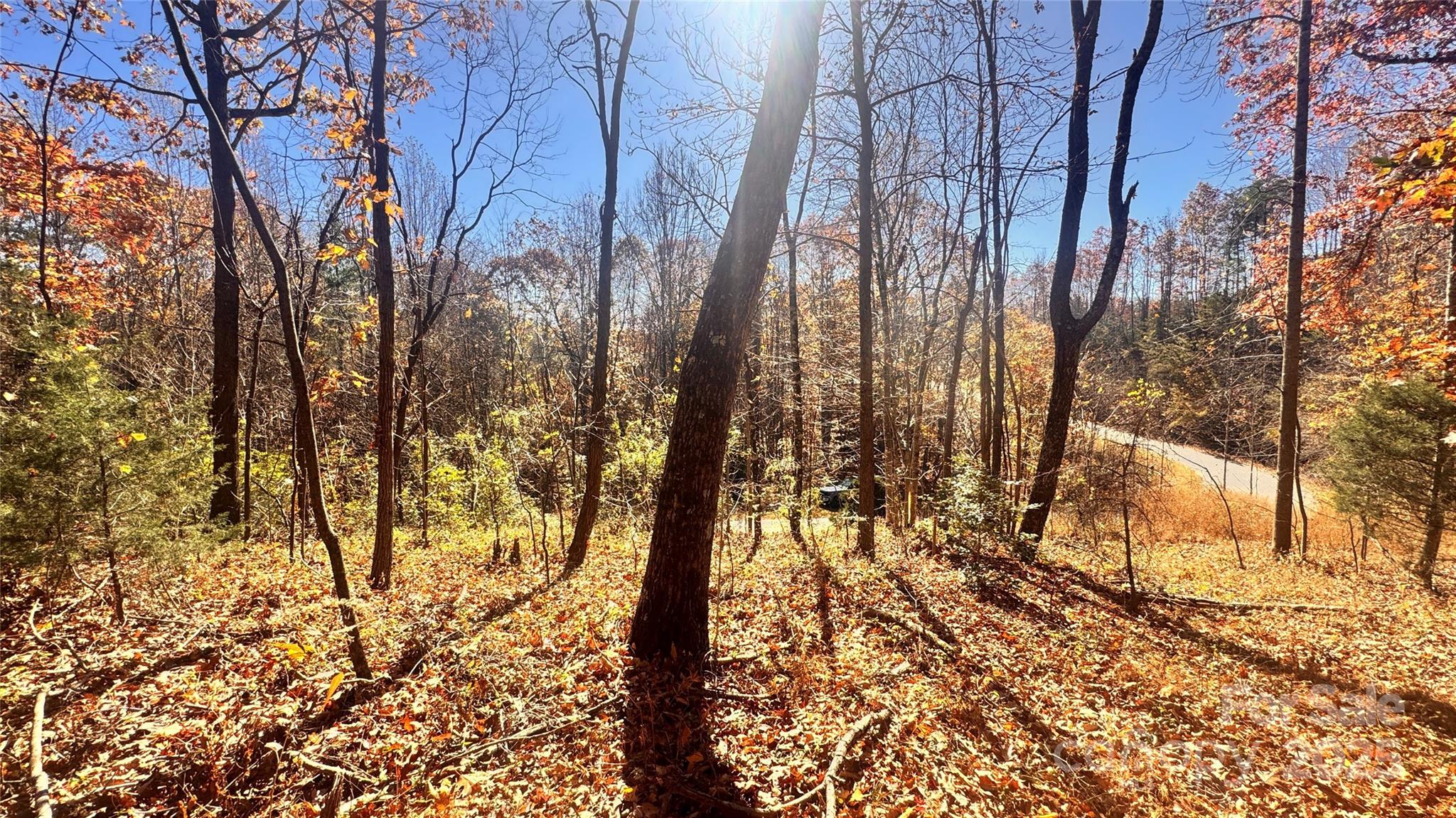 The Coves Mountain River Club - Land