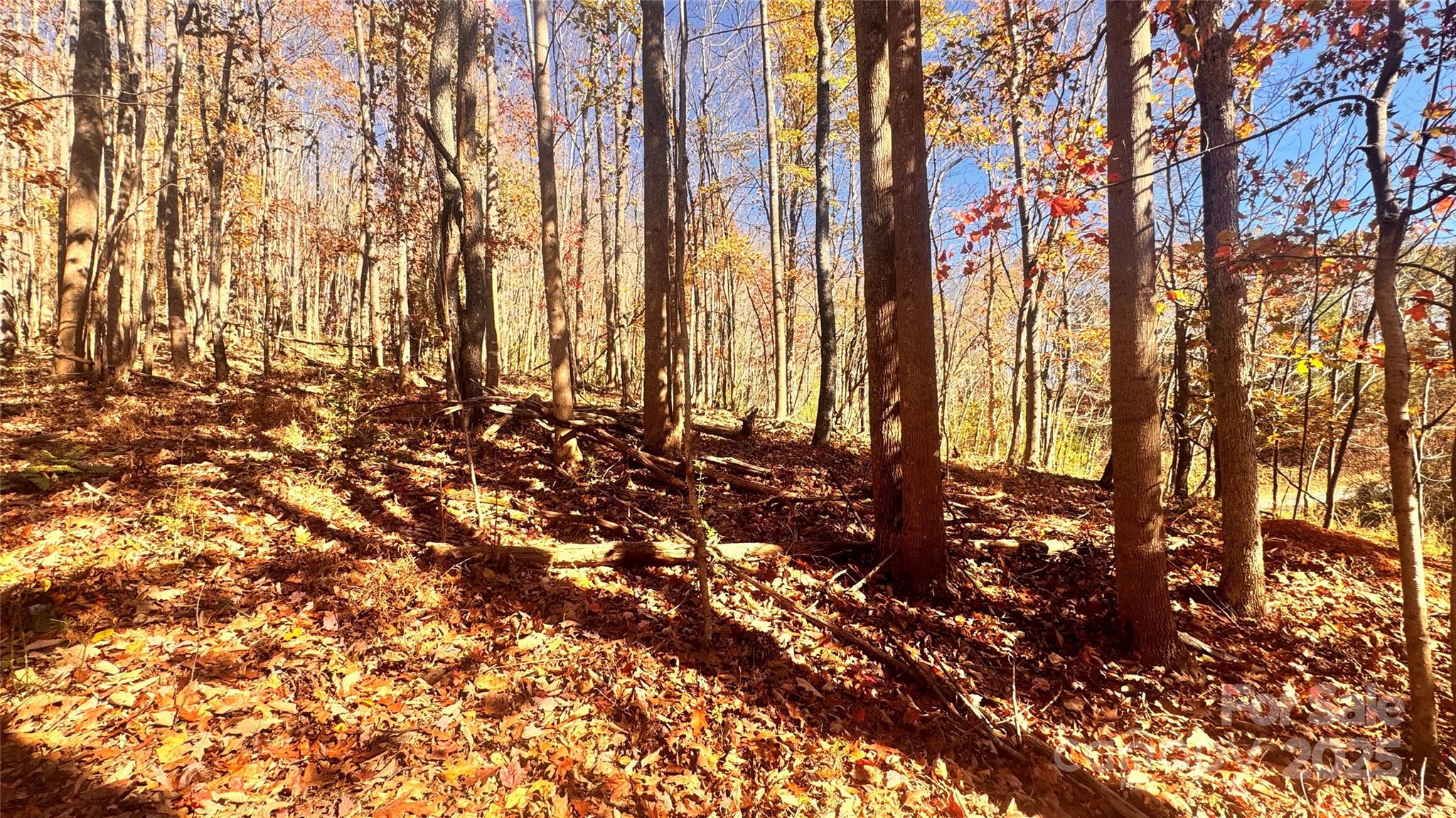 The Coves Mountain River Club - Land