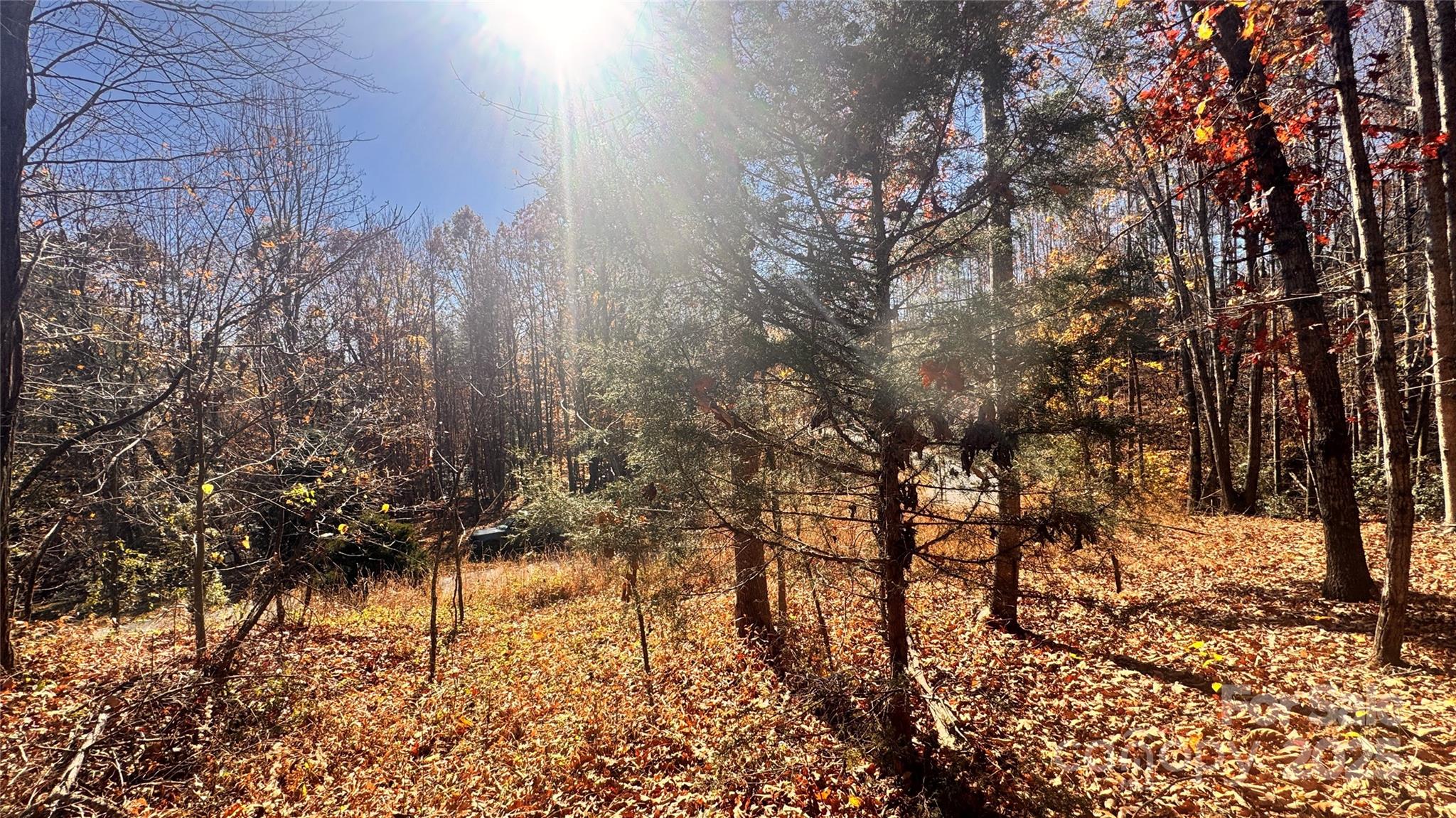 The Coves Mountain River Club - Land