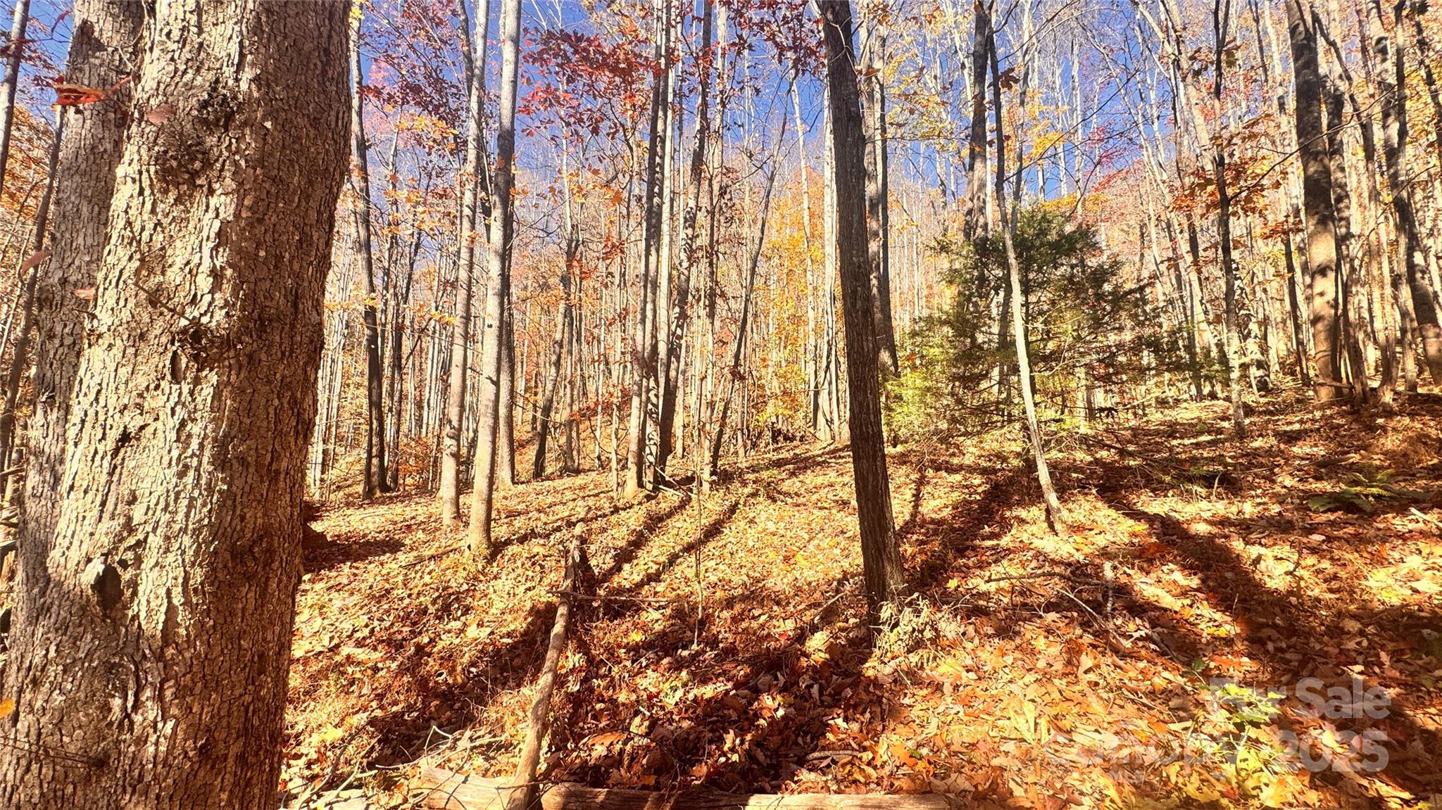 The Coves Mountain River Club - Land