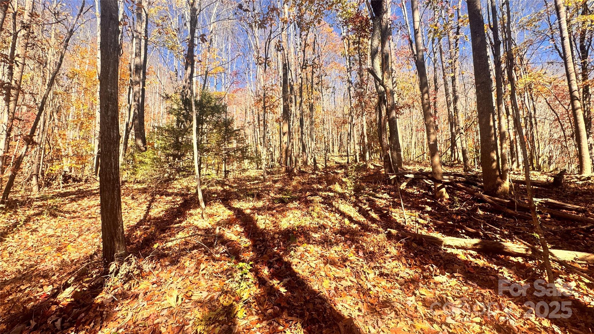 The Coves Mountain River Club - Land