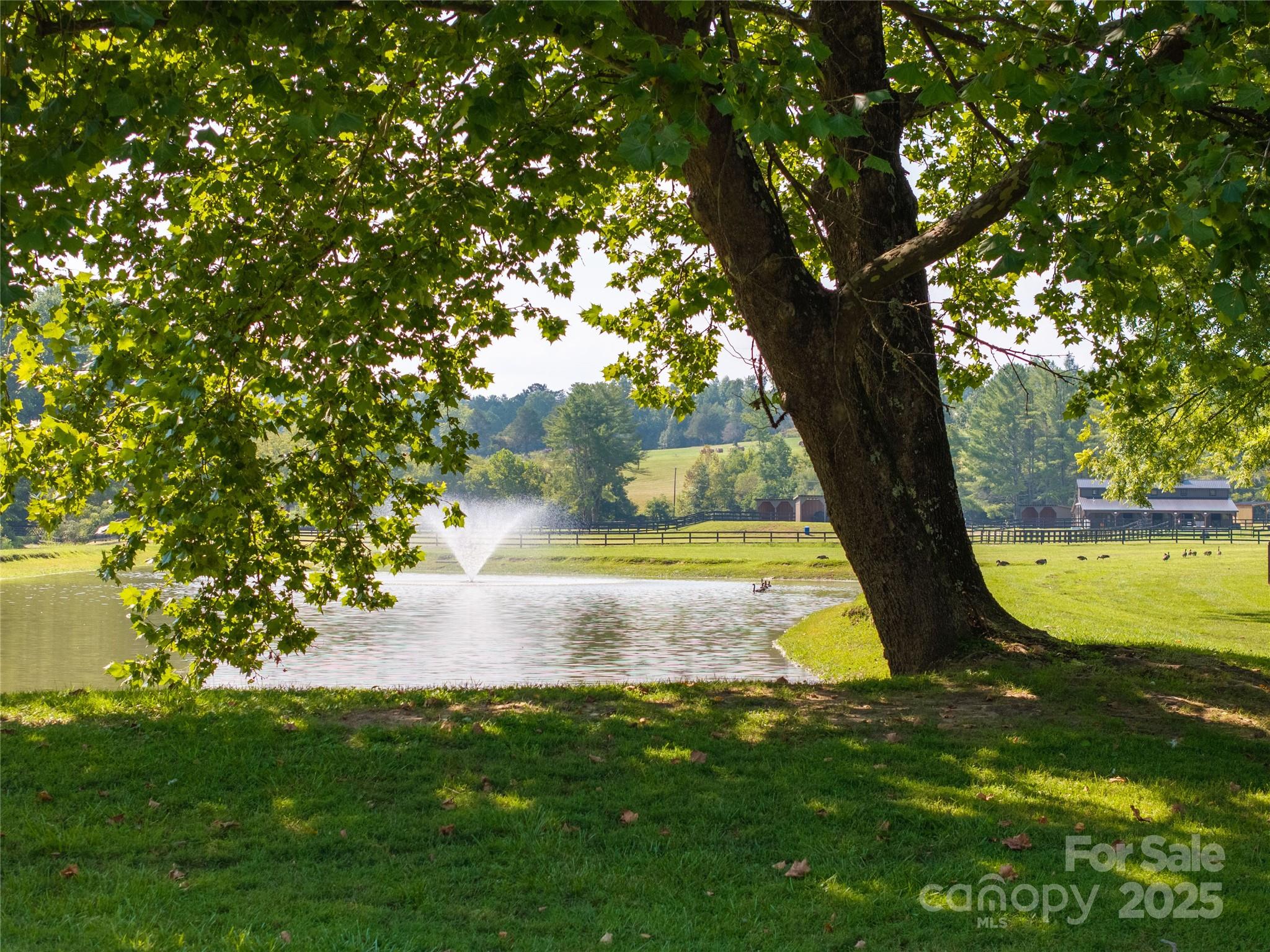 The Coves Mountain River Club - Land
