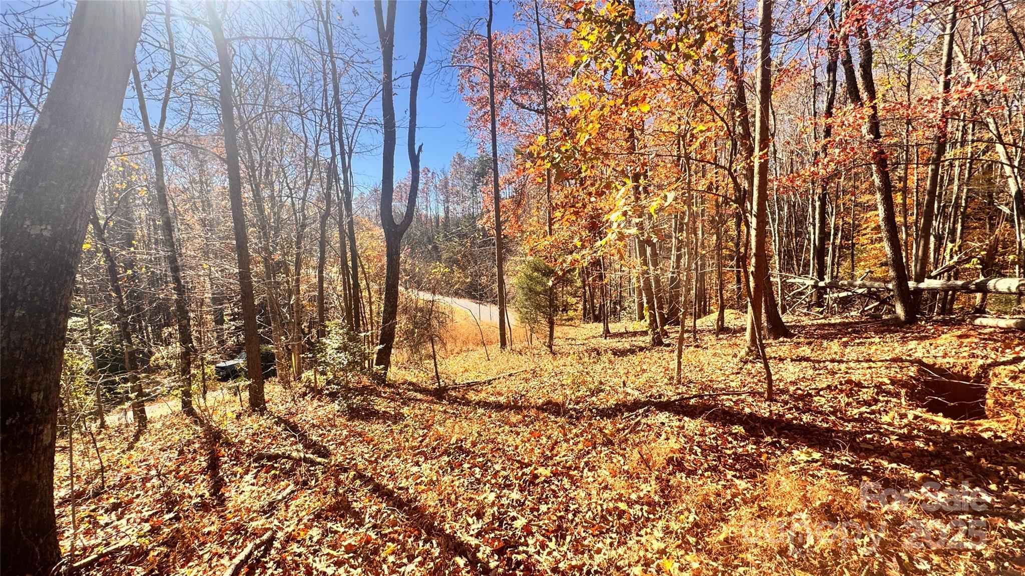 The Coves Mountain River Club - Land