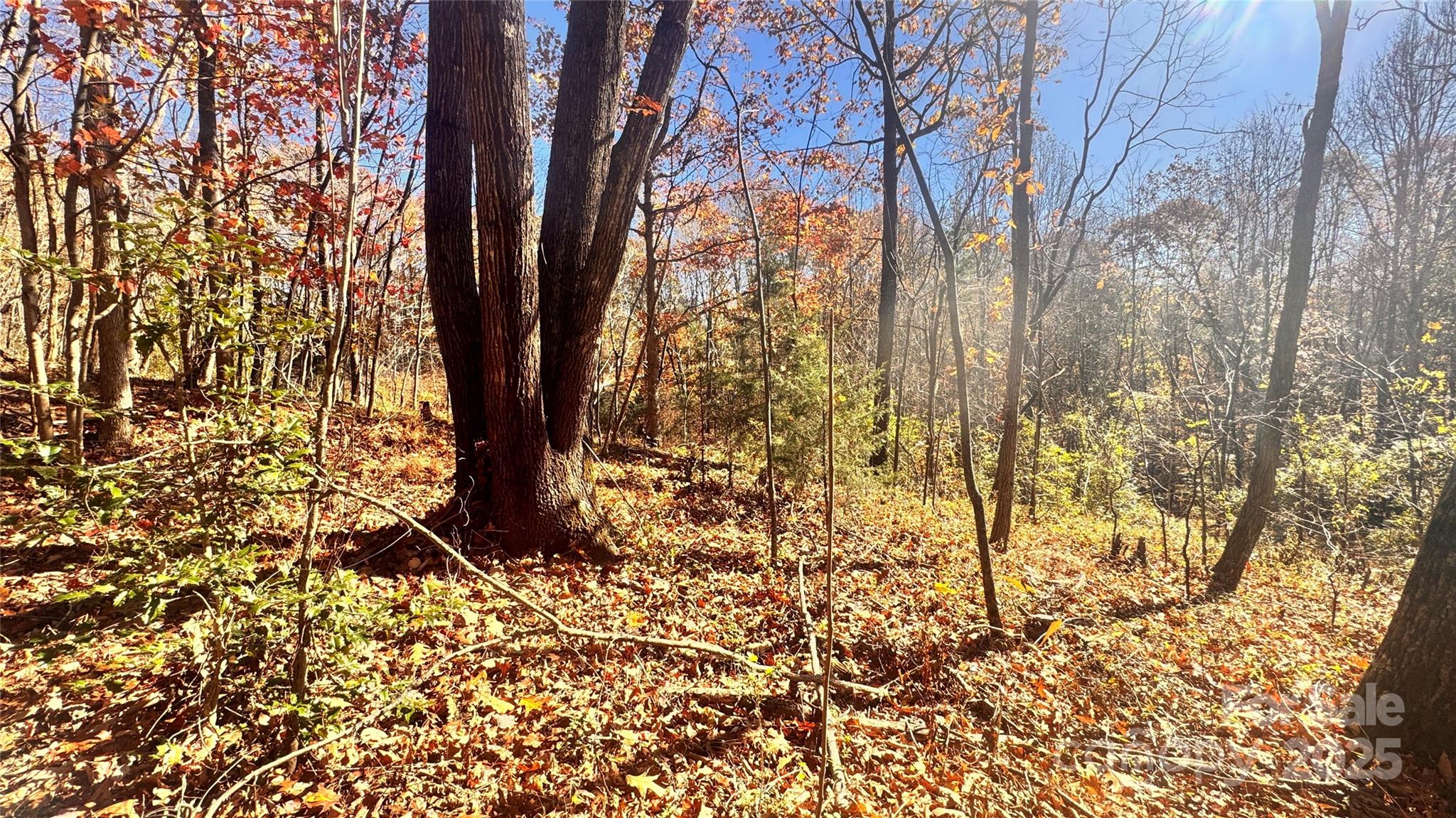 The Coves Mountain River Club - Land