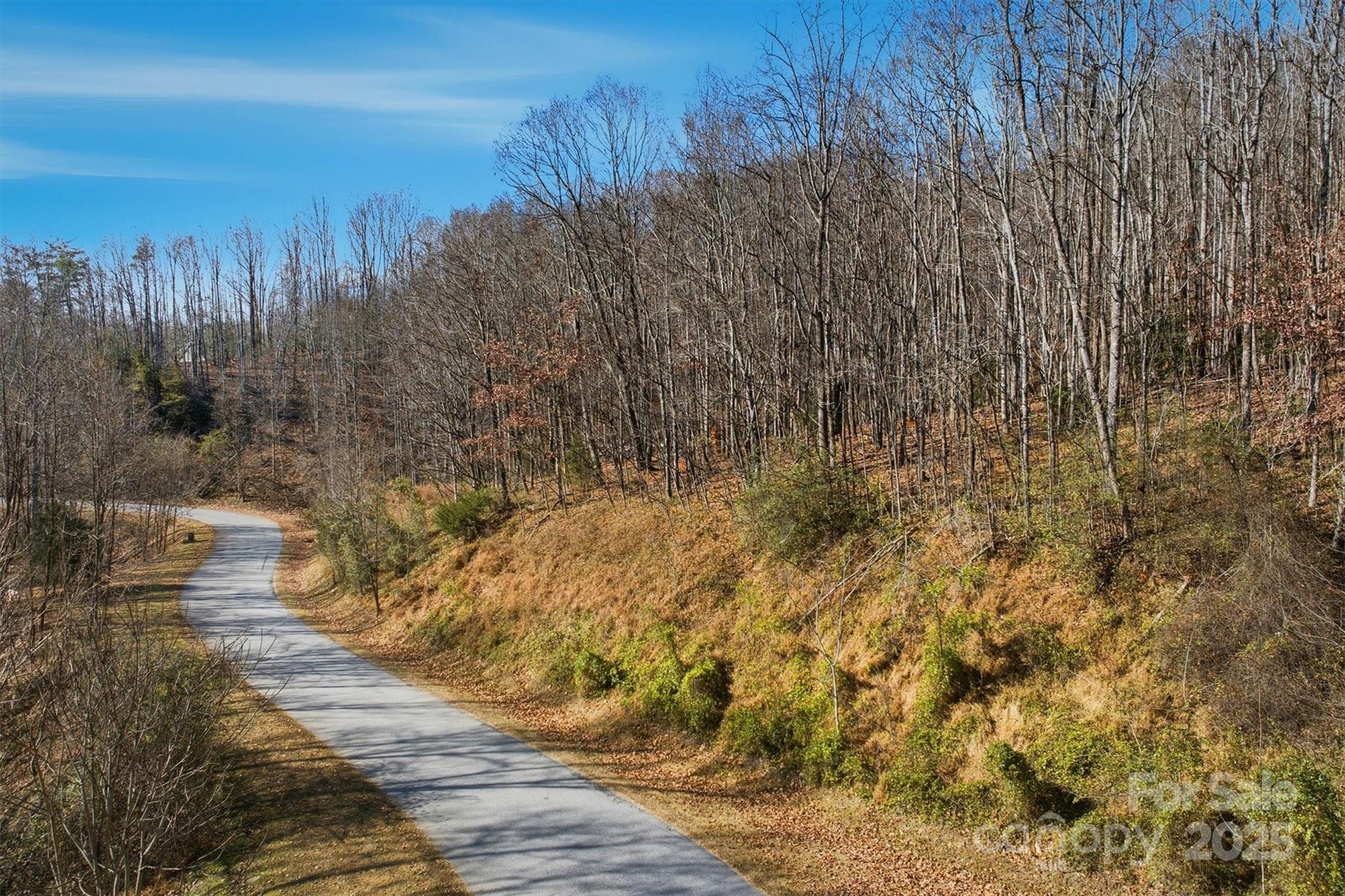 The Coves Mountain River Club - Land