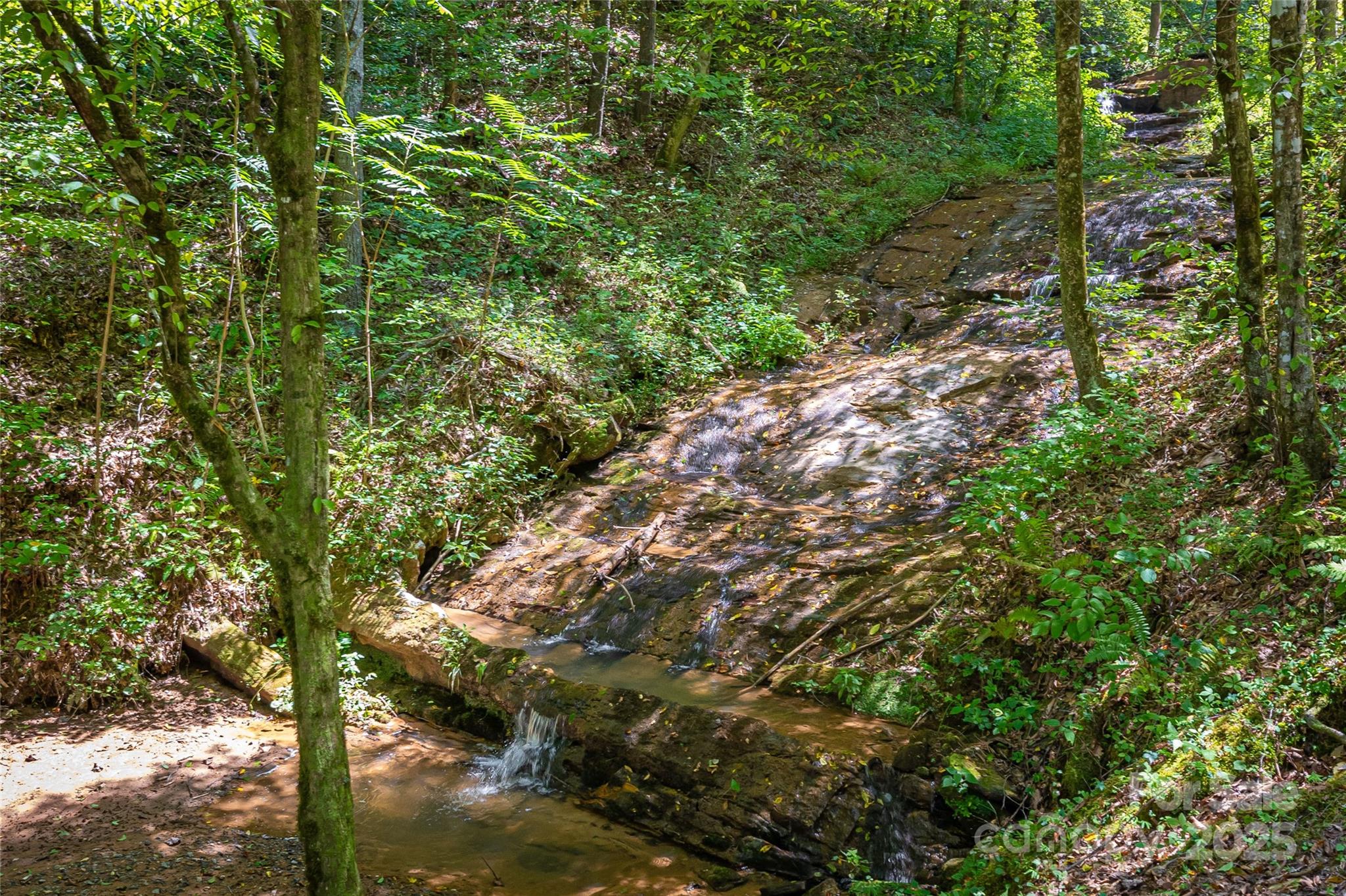 The Coves Mountain River Club - Land