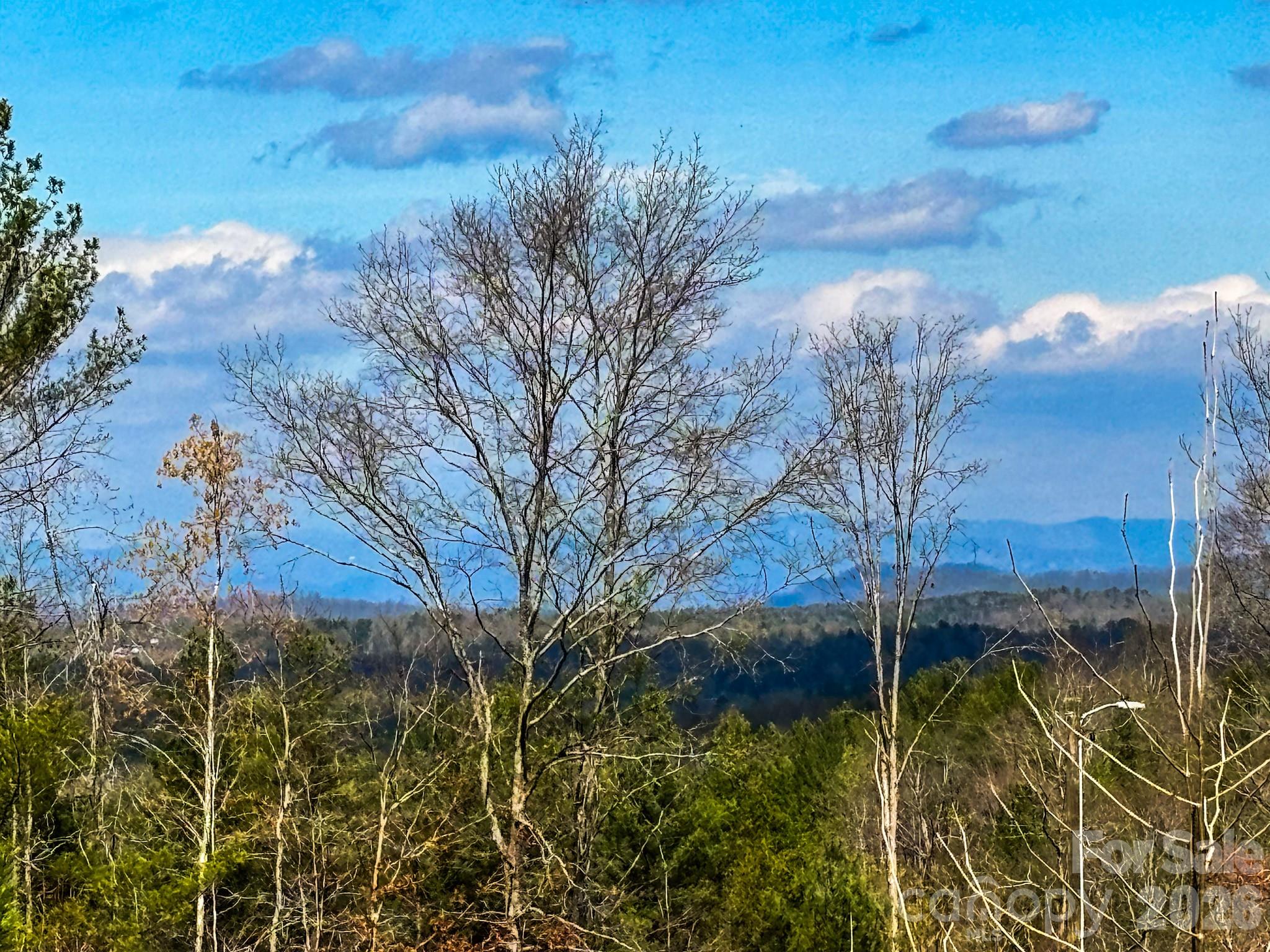 4277 Chinquapin Circle