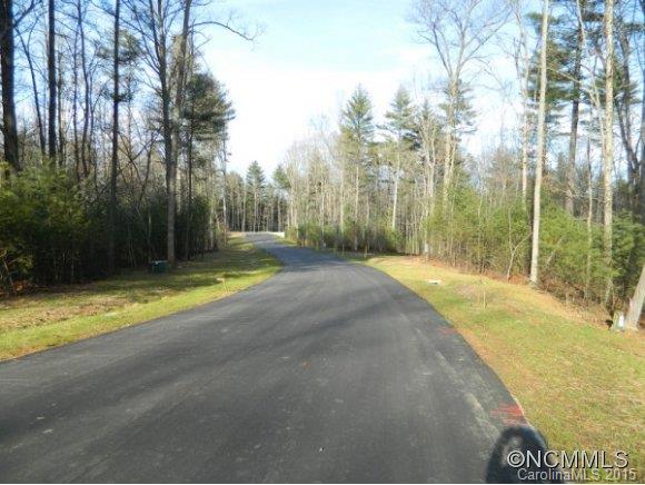 Ramble Biltmore Forest - Land