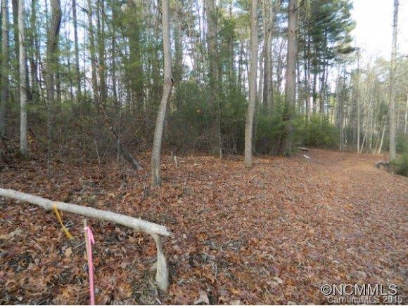 Ramble Biltmore Forest - Land