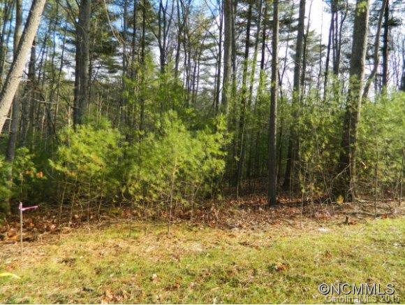 Ramble Biltmore Forest - Land