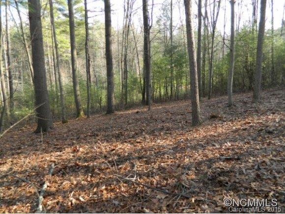 Ramble Biltmore Forest - Land