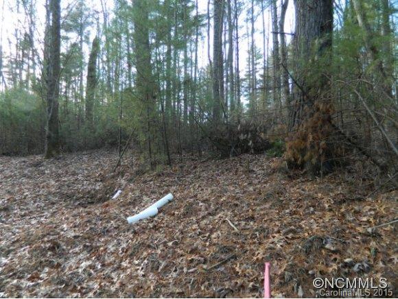 Ramble Biltmore Forest - Land