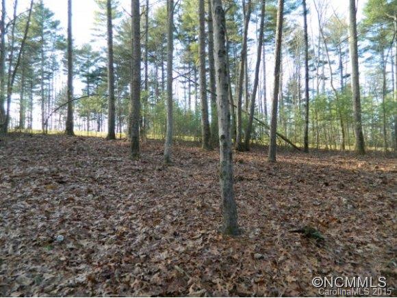 Ramble Biltmore Forest - Land