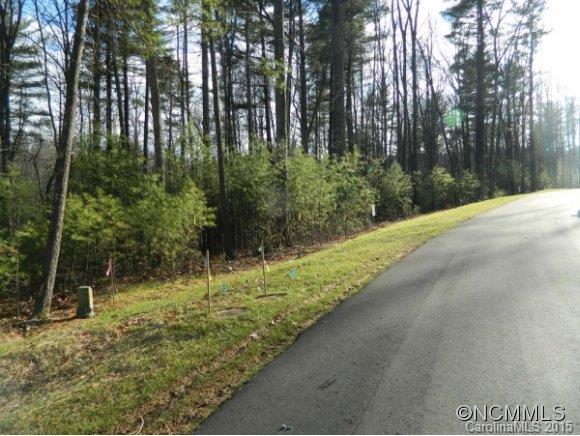 Ramble Biltmore Forest - Land