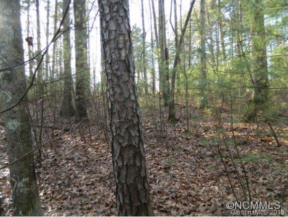 Ramble Biltmore Forest - Land