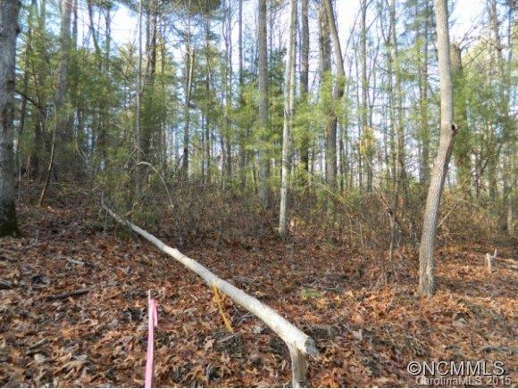 Ramble Biltmore Forest - Land