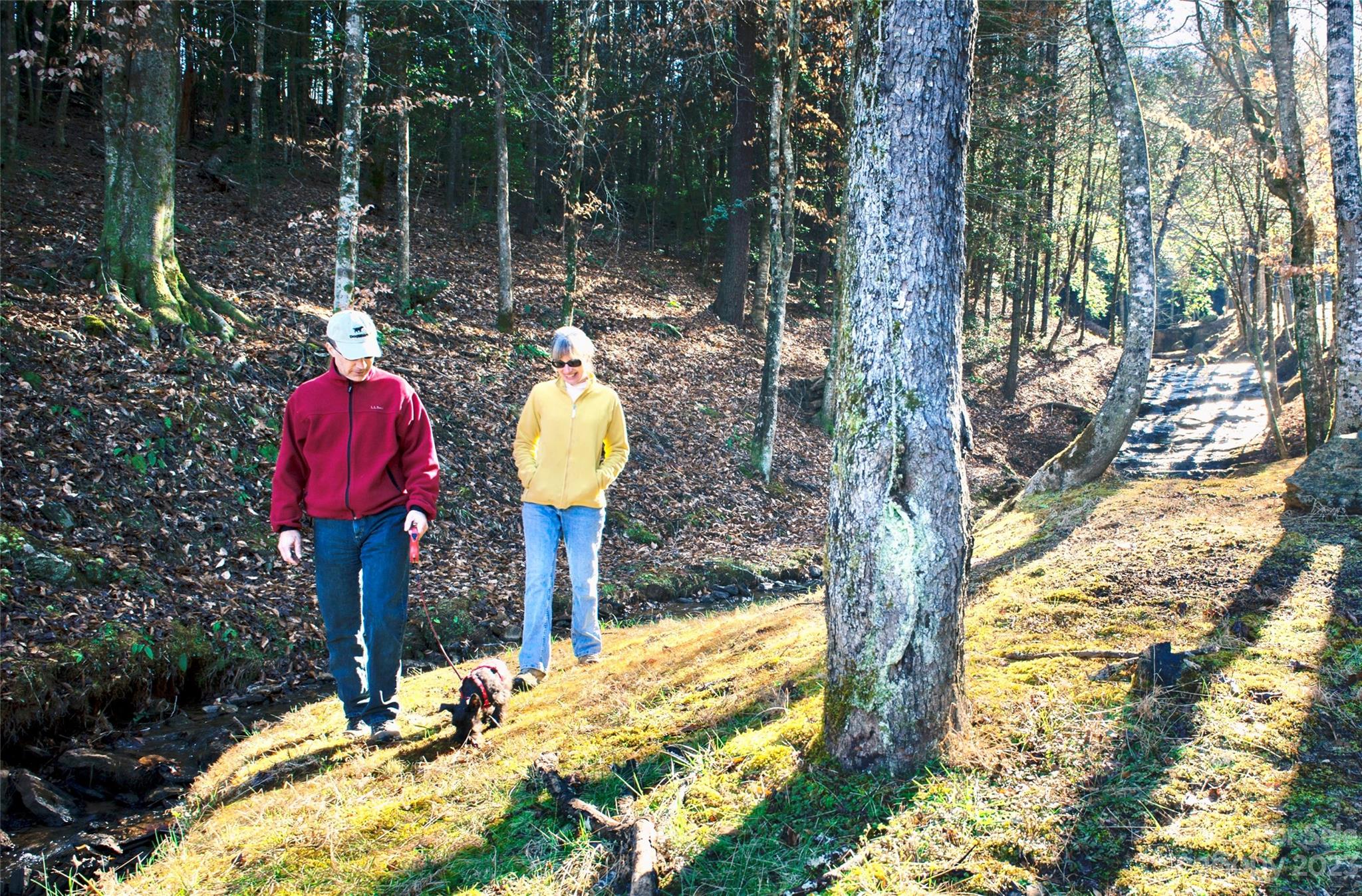 The Coves Mountain River Club - Land