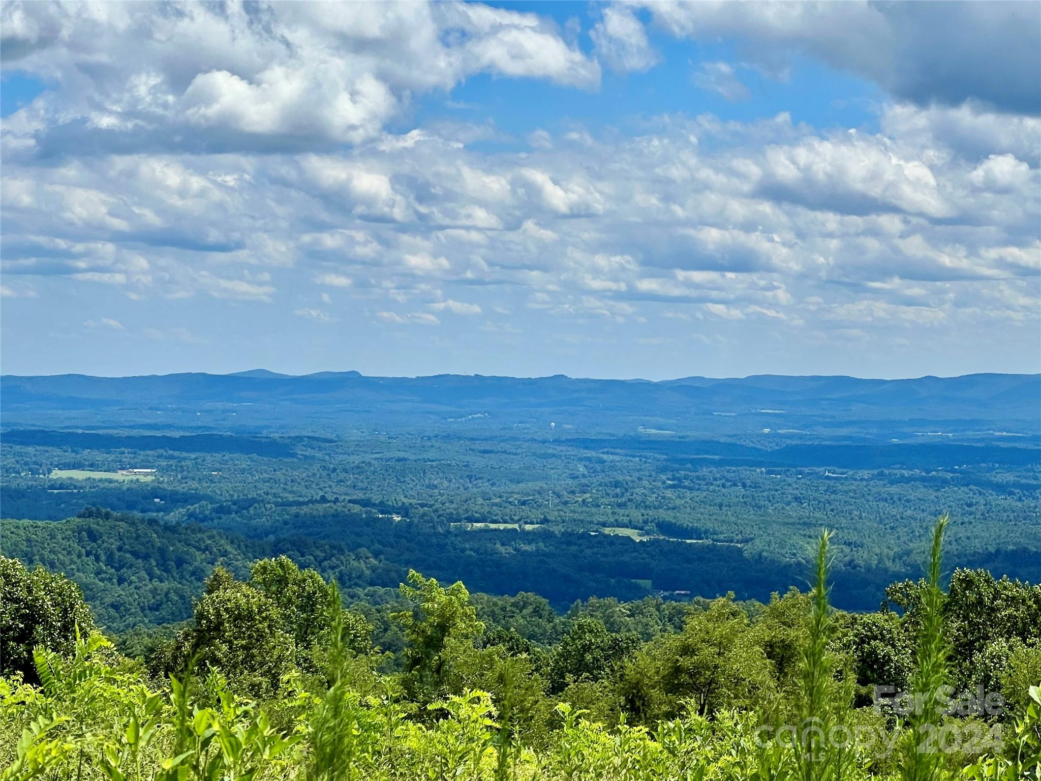 Chestnut Mountain Farms - Land