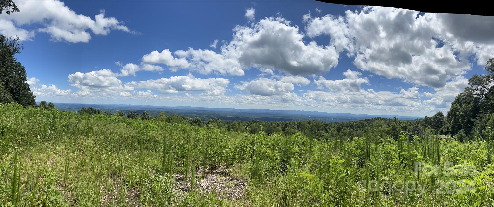 Chestnut Mountain Farms - Land