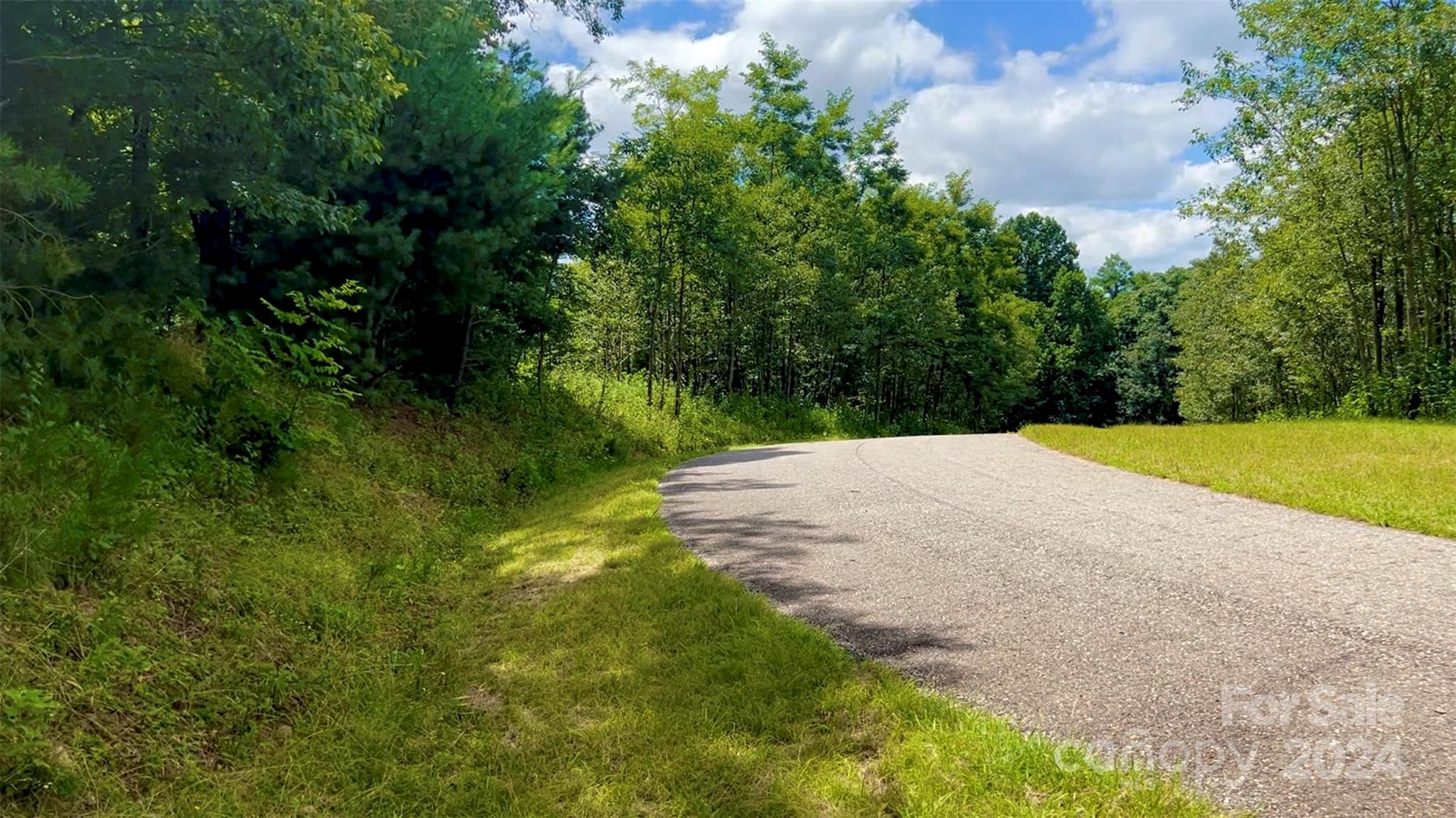 Chestnut Mountain Farms - Land