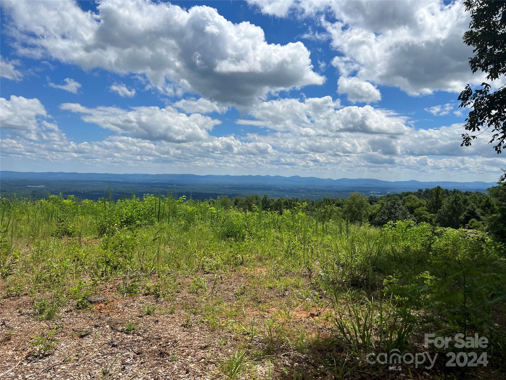 Chestnut Mountain Farms - Land
