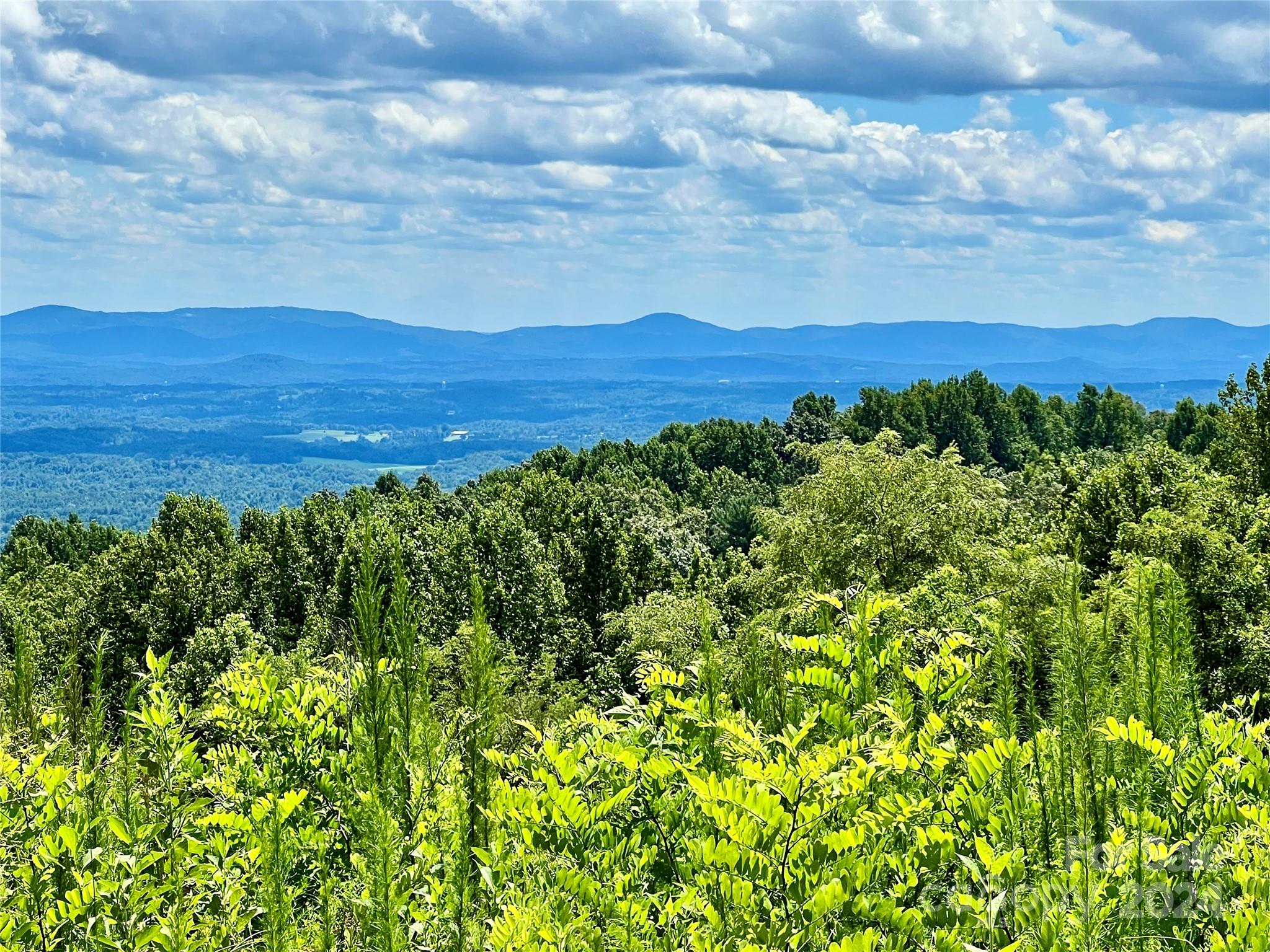 Chestnut Mountain Farms - Land