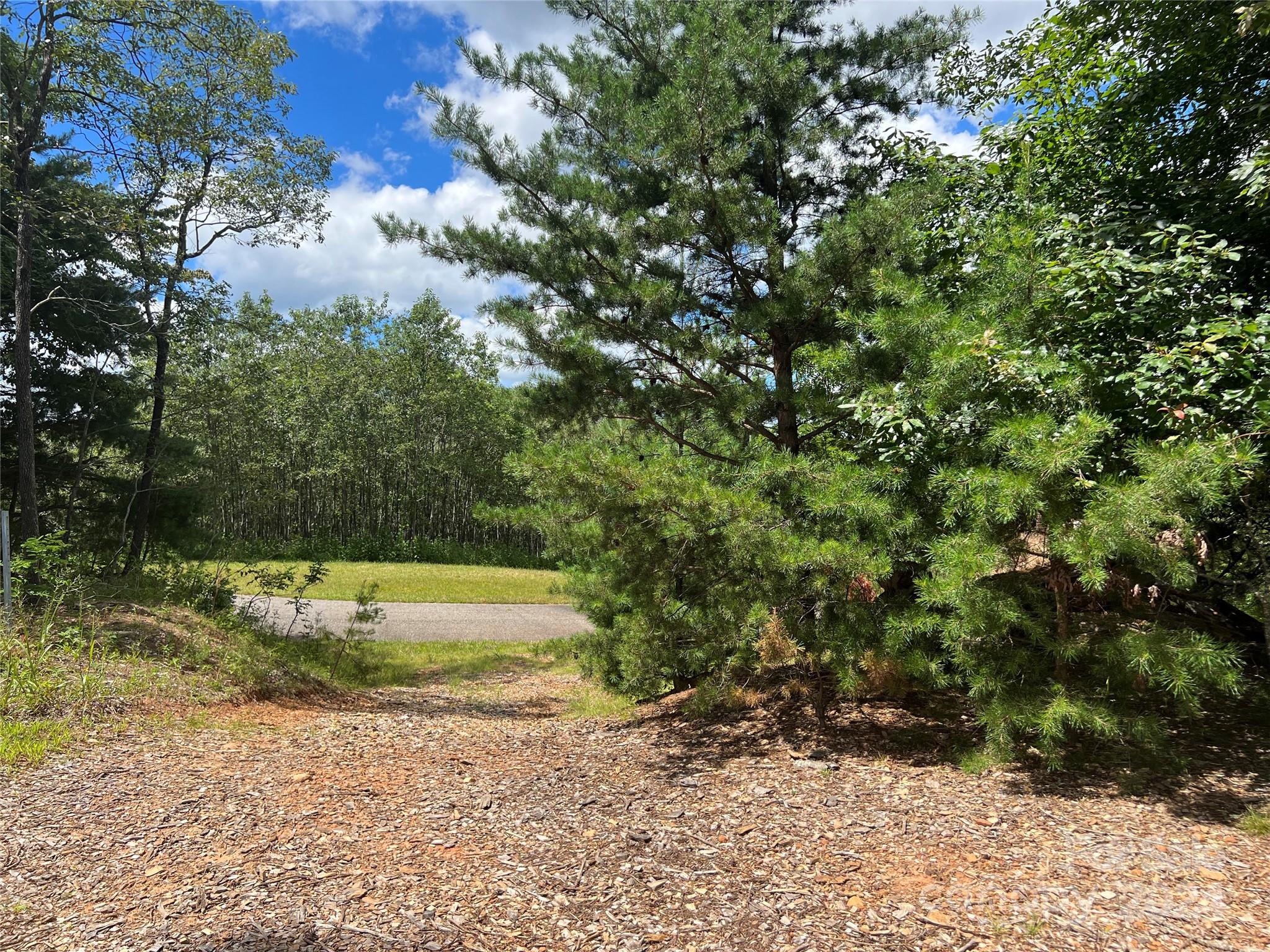 Chestnut Mountain Farms - Land