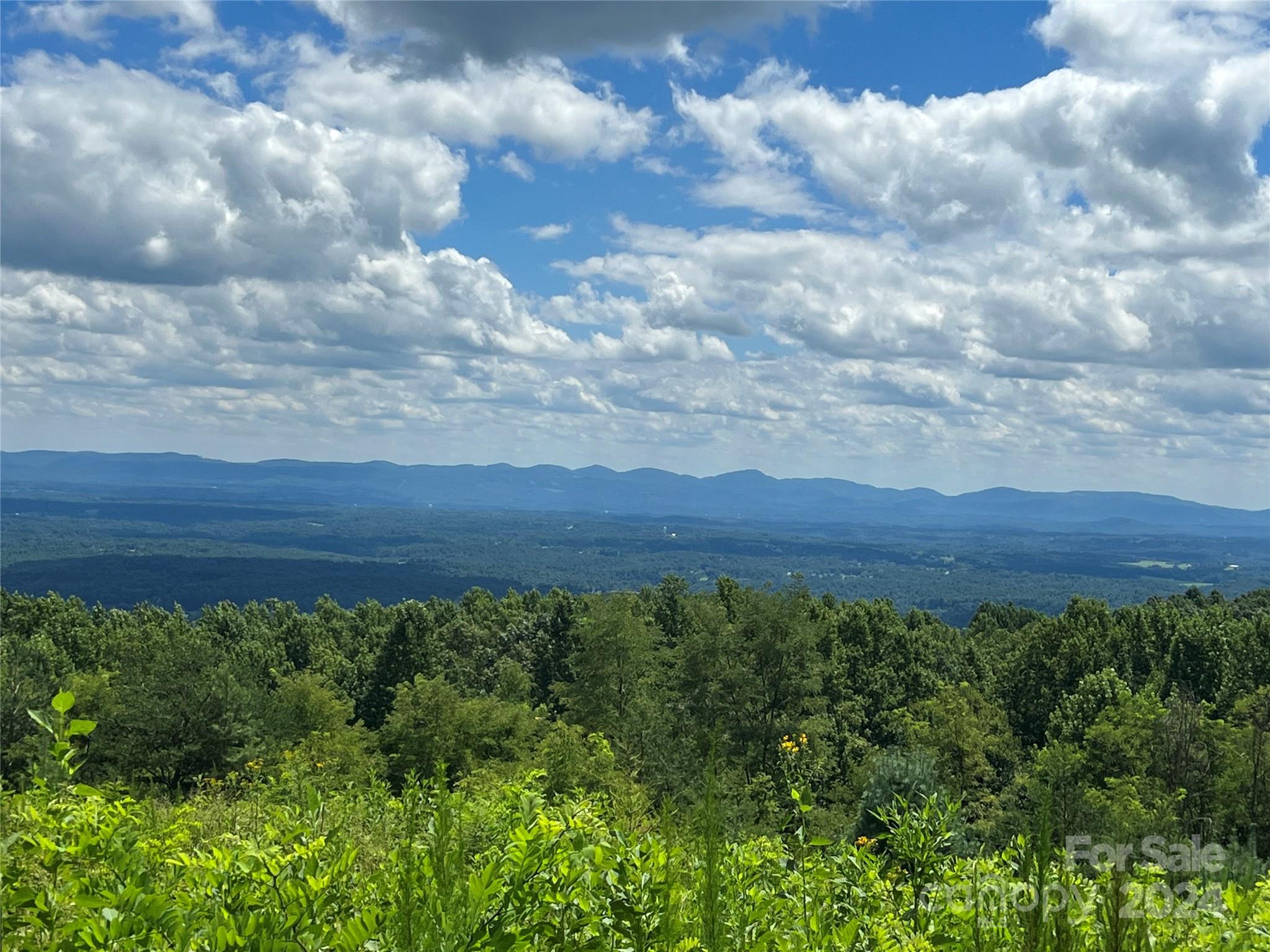 Chestnut Mountain Farms - Land
