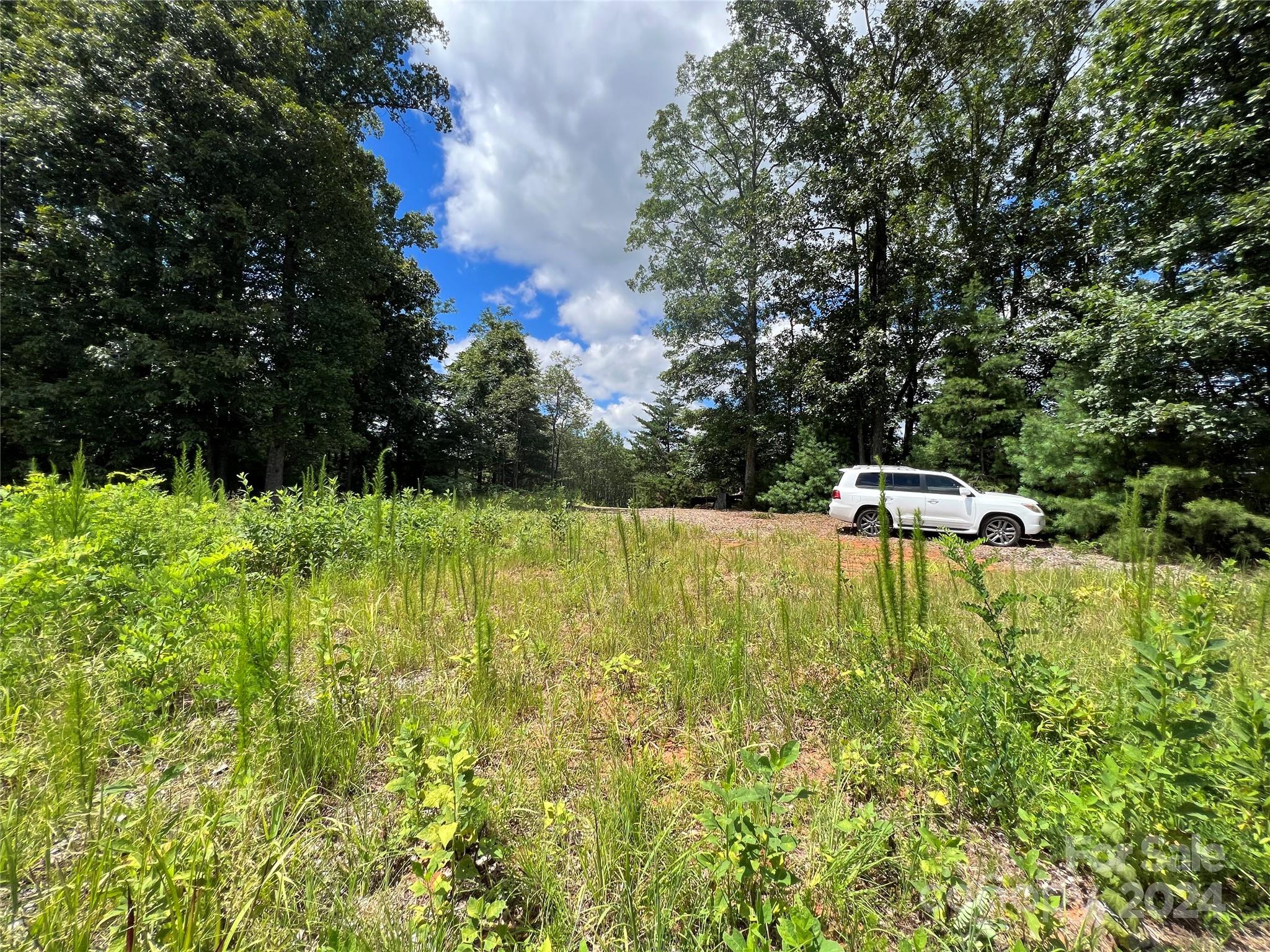 Chestnut Mountain Farms - Land